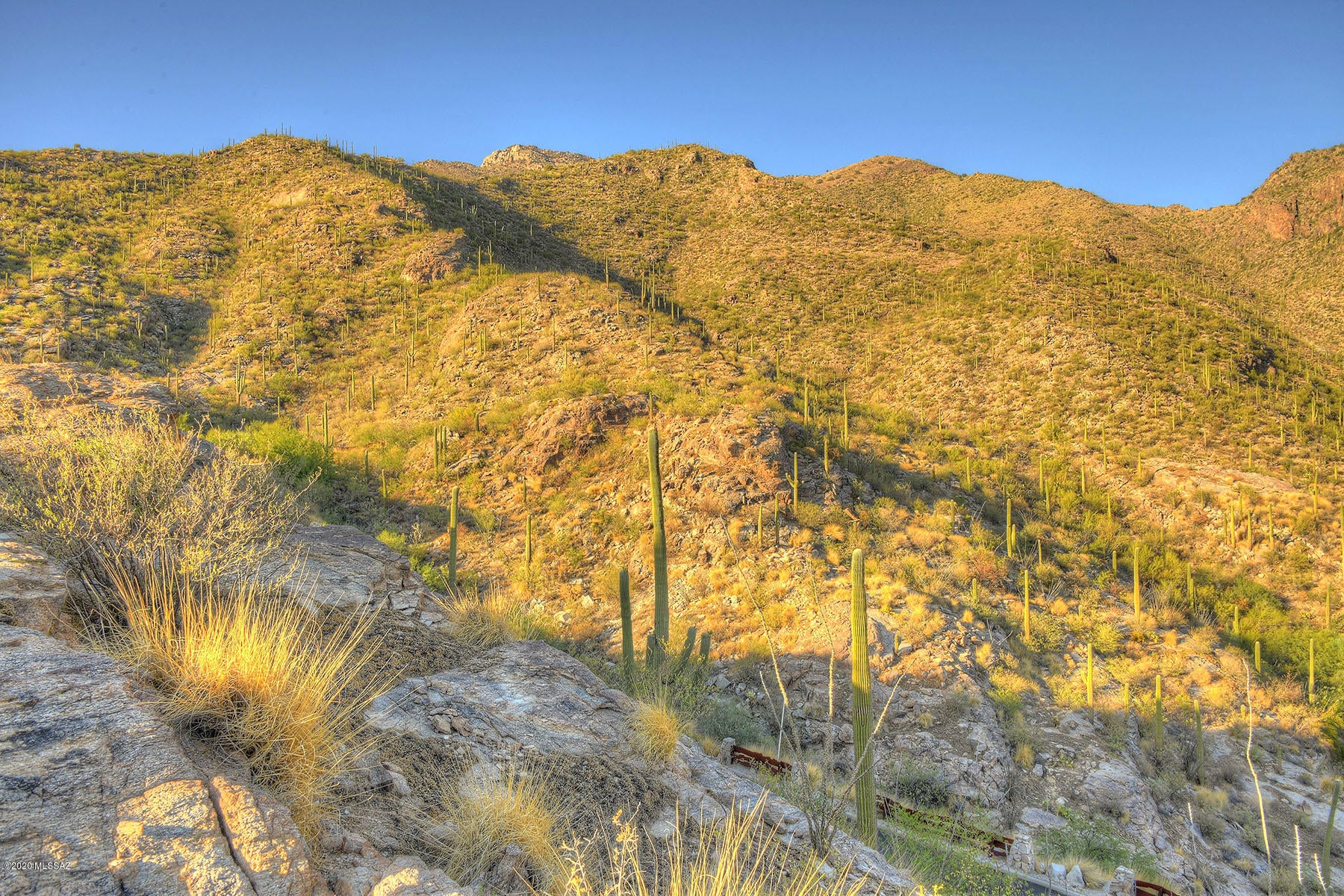 Ventana Canyon Mountain Estate (1-73) - Land