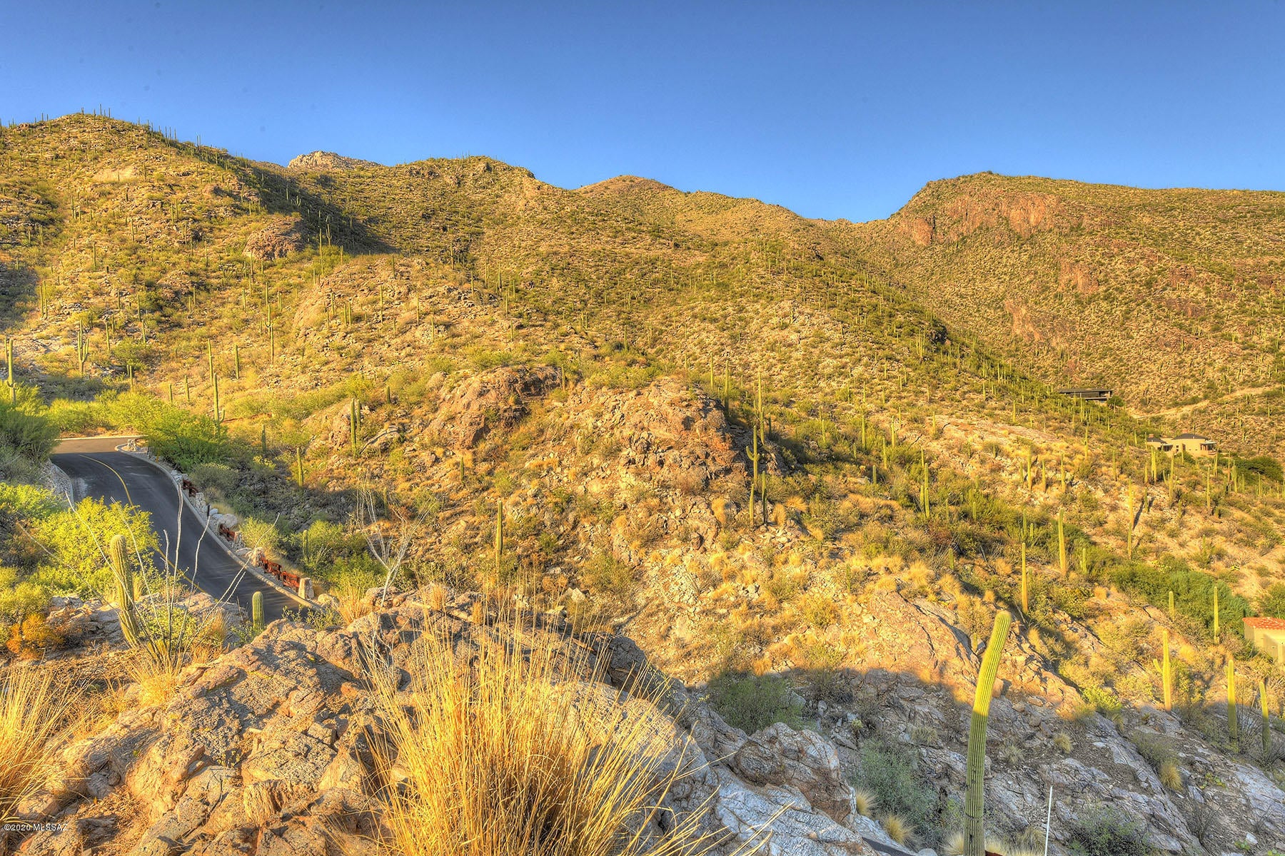 Ventana Canyon Mountain Estate (1-73) - Land