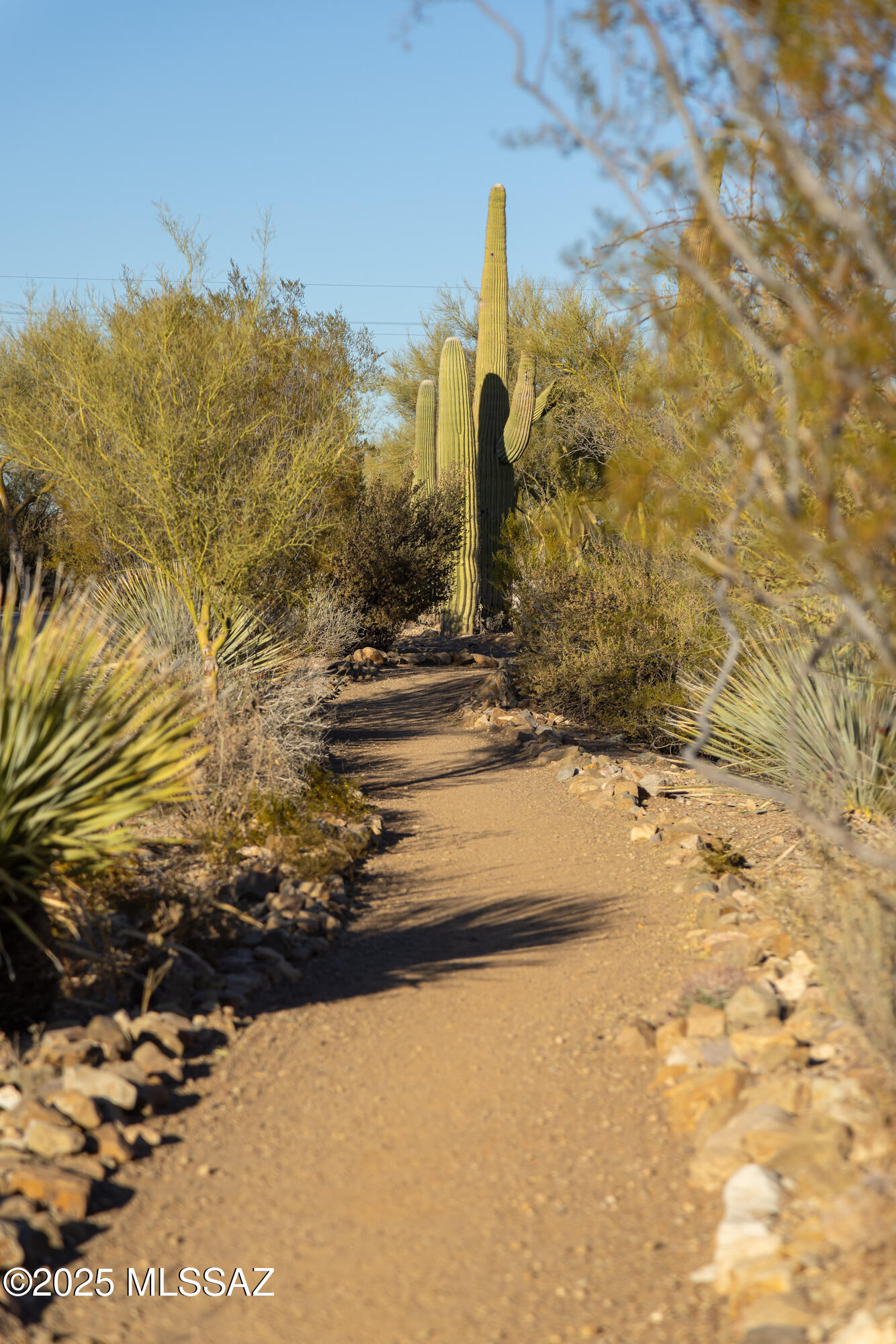 Rancho Agua Dulce (1-306) - Residential