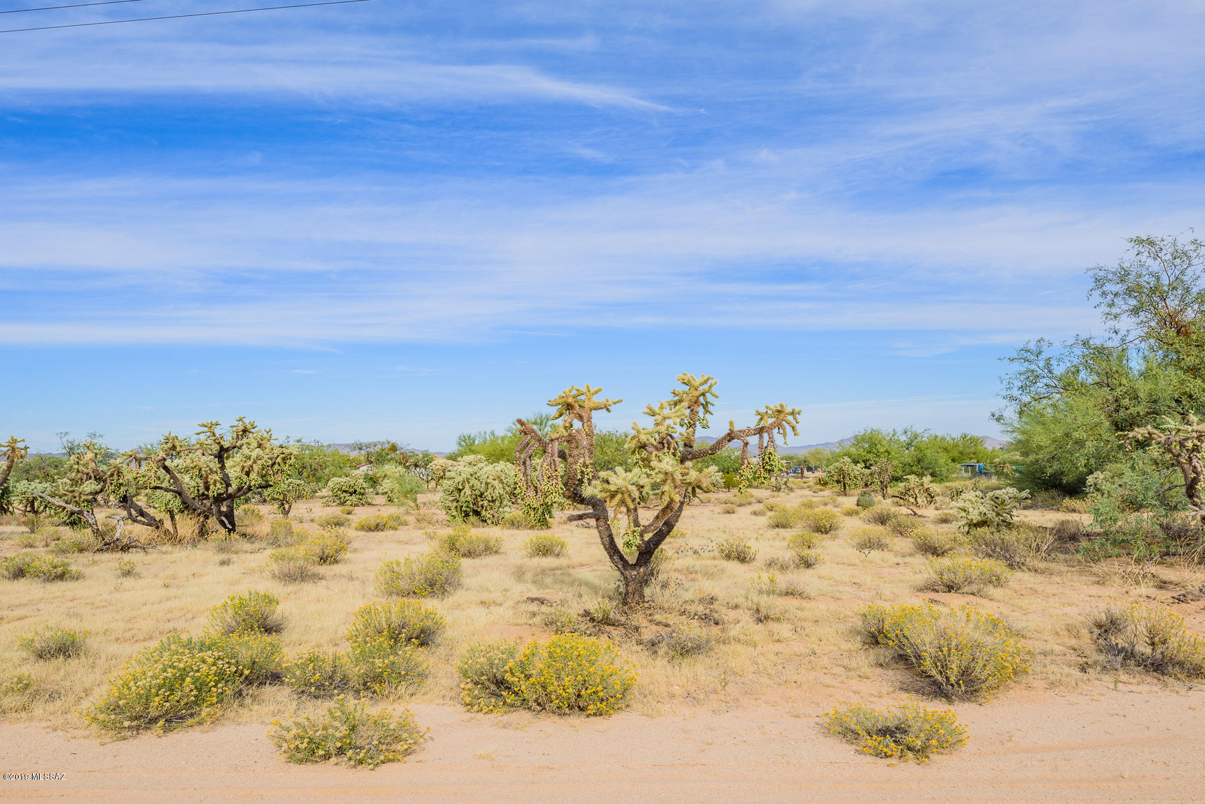 1.13 acres flat and all usable, power- phone close. MH & horses ok. Room to ride-atving. Quiet & private on cul-de-sac. Cacti, vegetation w/marvelous views of lighting & storms over Baroquivari Mtns. Kitt Peak close.