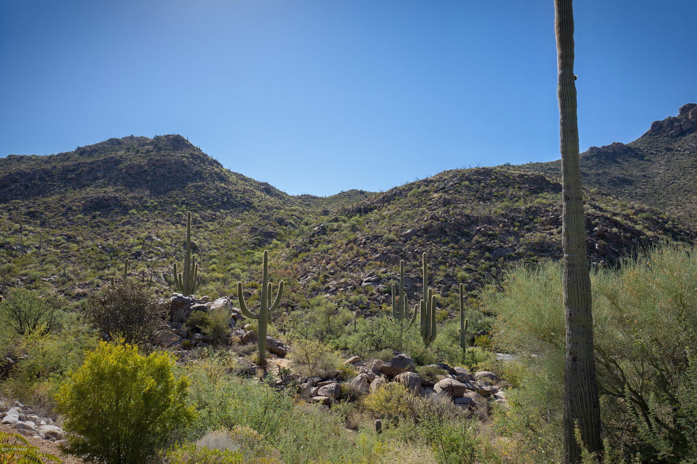 Canyon Pass At Dove Mountain(1-48) - Residential