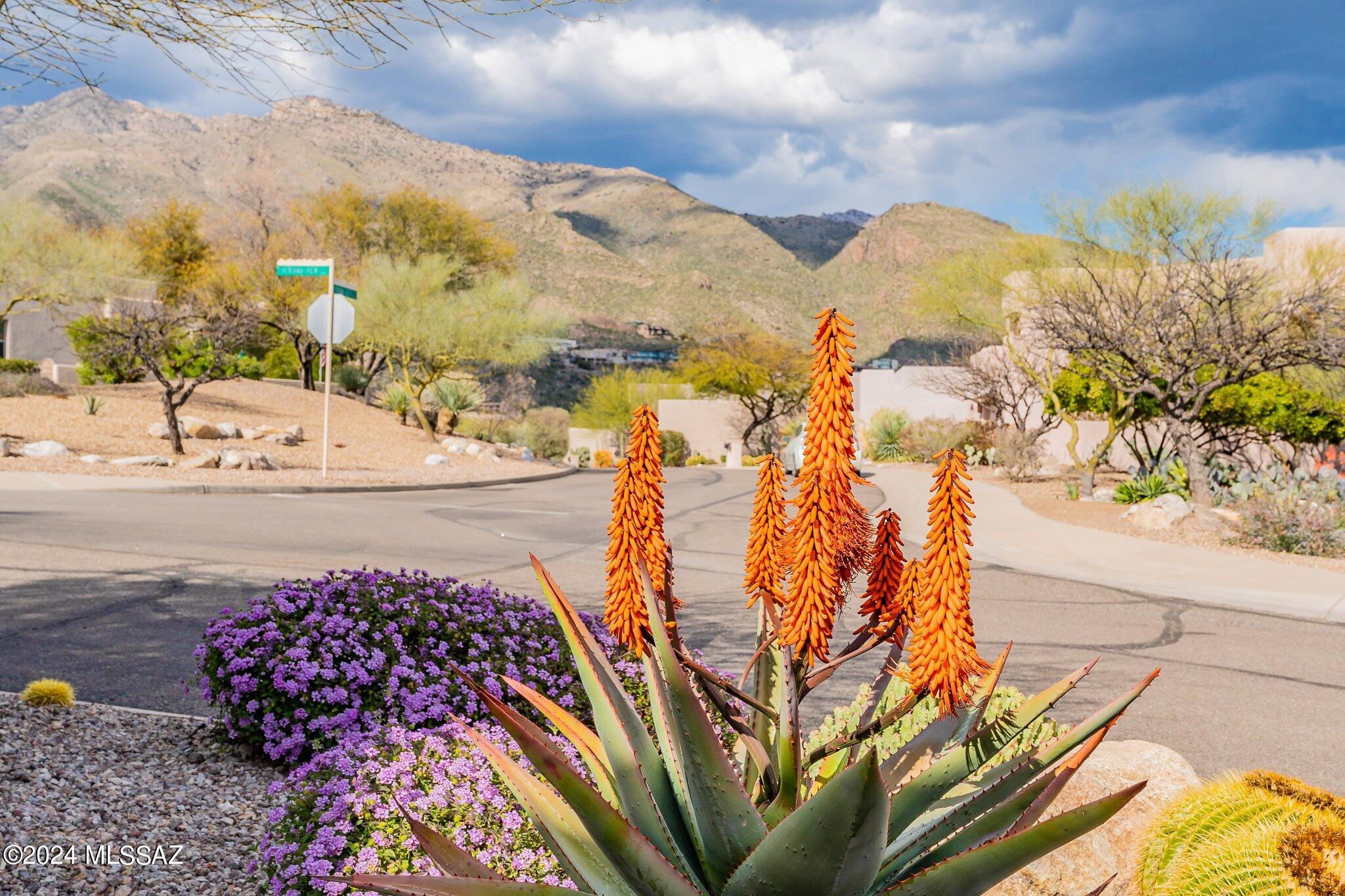 The Ridge At Ventana Canyon (1-63) - Residential