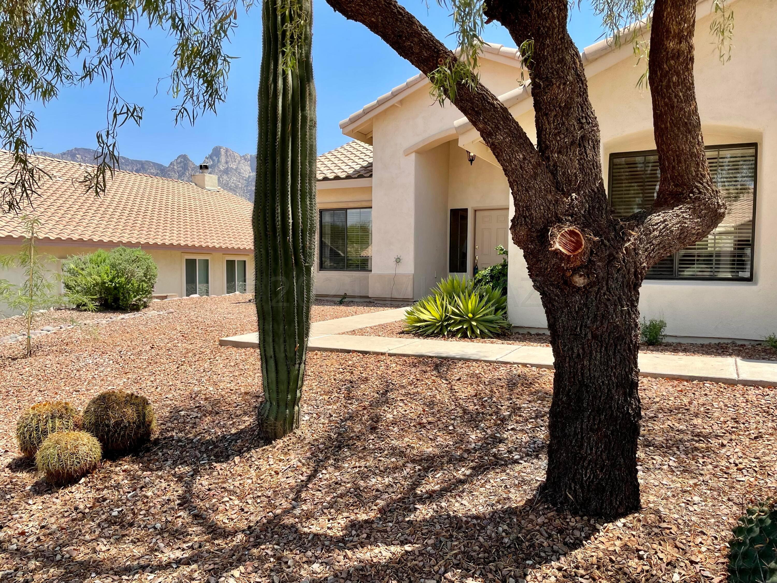 Catalina Shadows Estates Phase 4(302-390) - Residential
