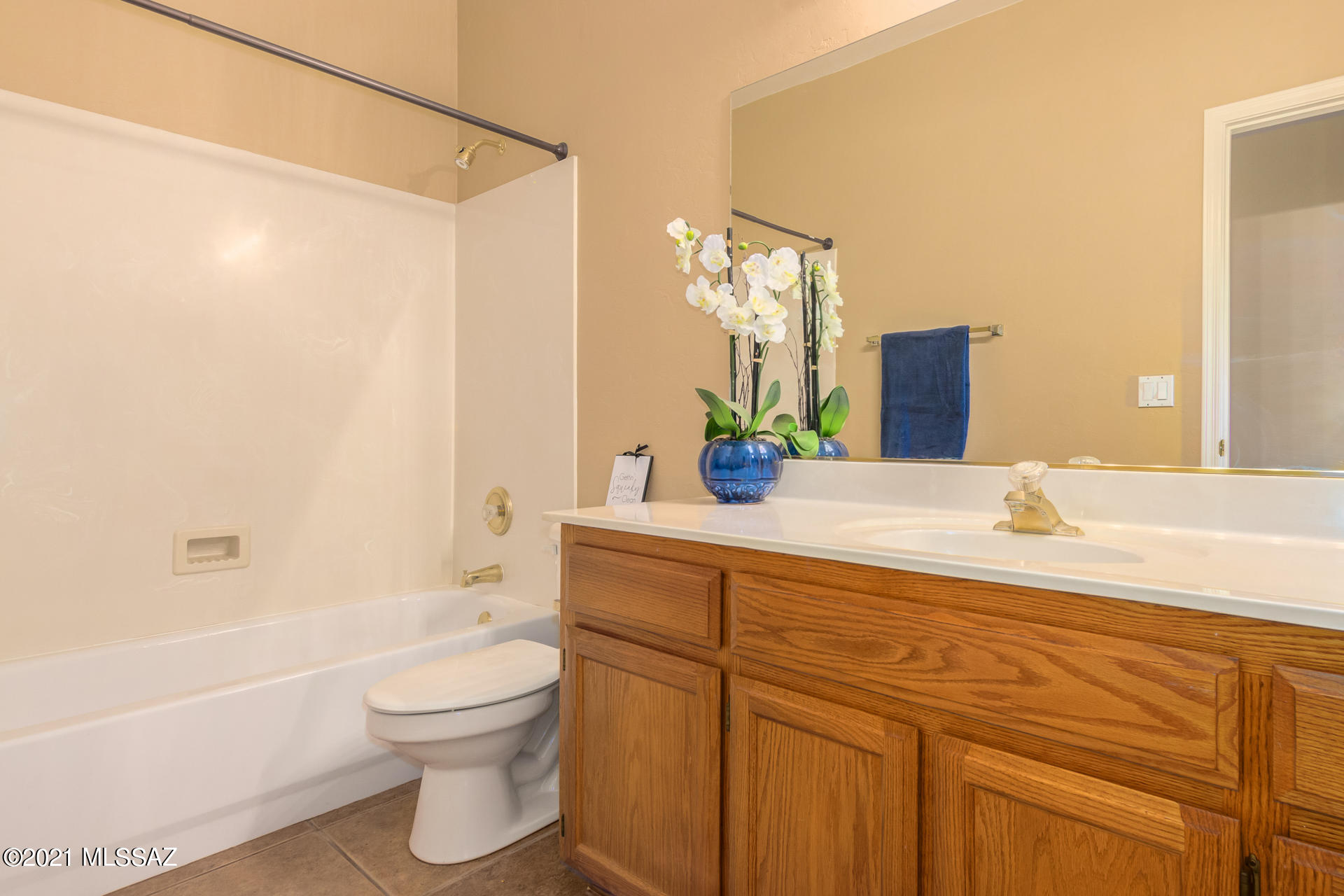 Catalina Shadows Estates Phase 4(302-390) - Residential