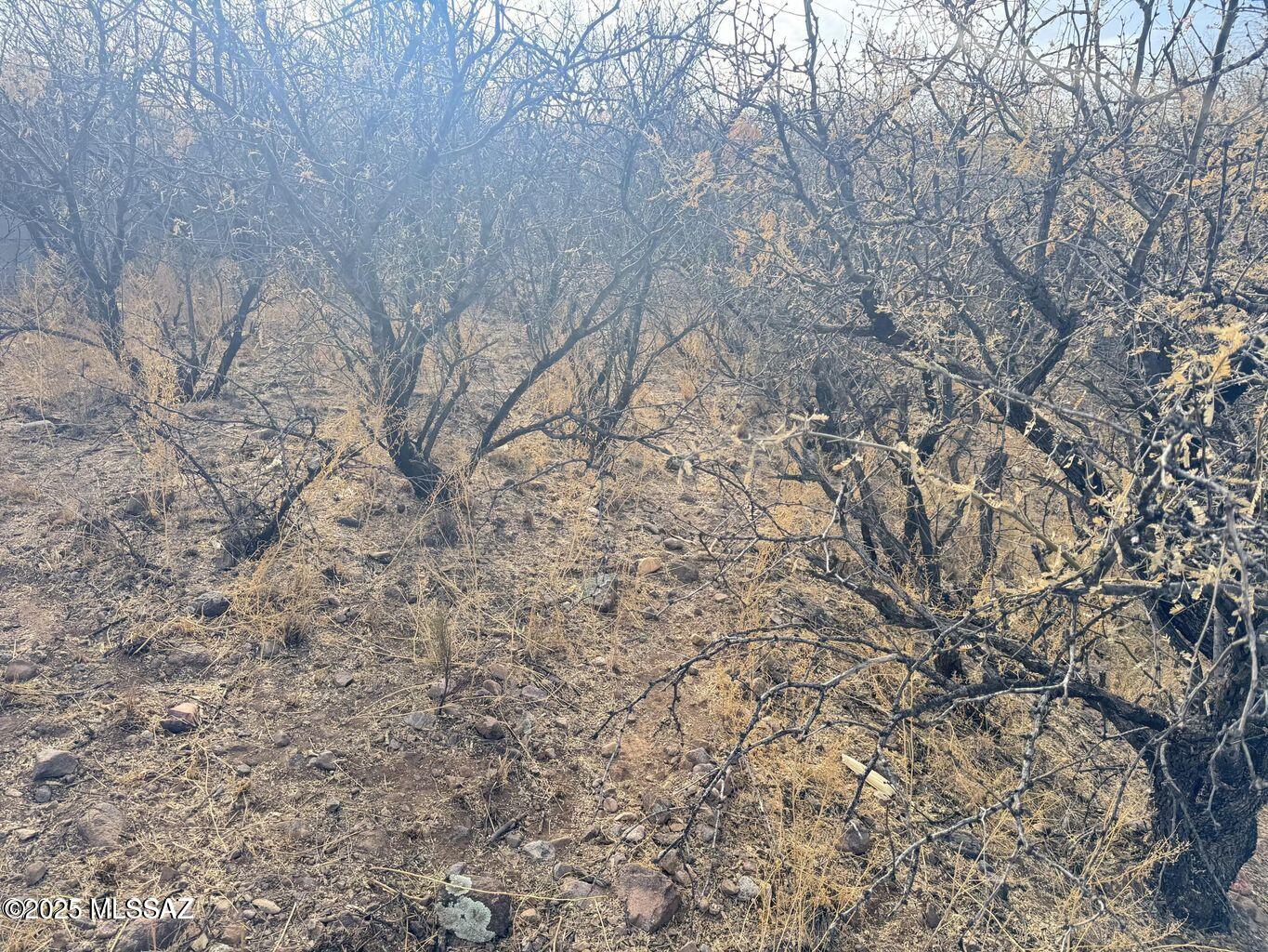 Rio Rico Estates 9 - Land