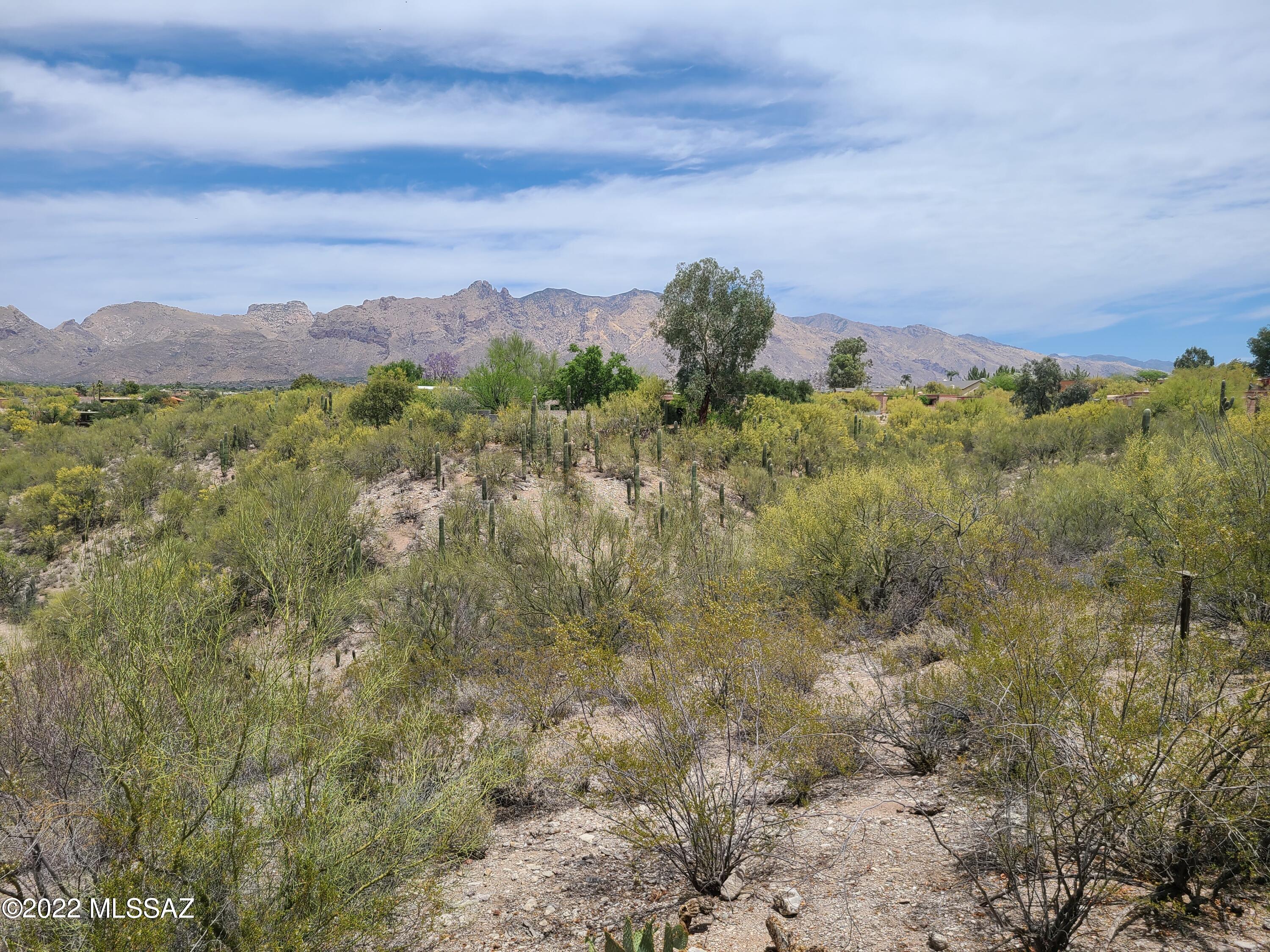 Catalina Foothills Estates  NO. 4 (401-428) - Residential
