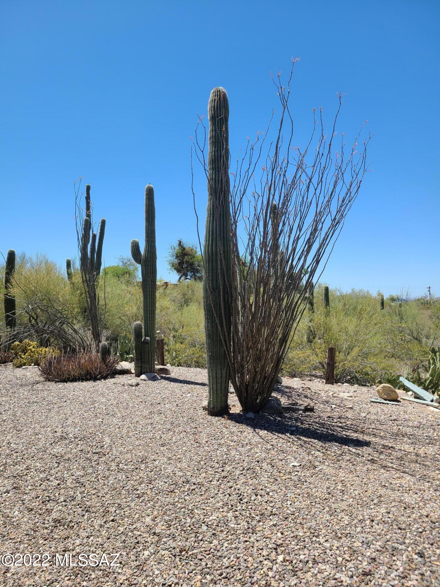 Catalina Foothills Estates  NO. 4 (401-428) - Residential