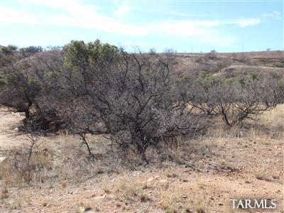 Lake Patagonia Ranch - Land