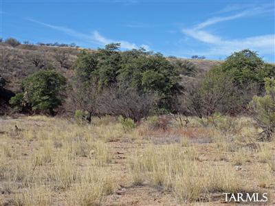 Lake Patagonia Ranch - Land