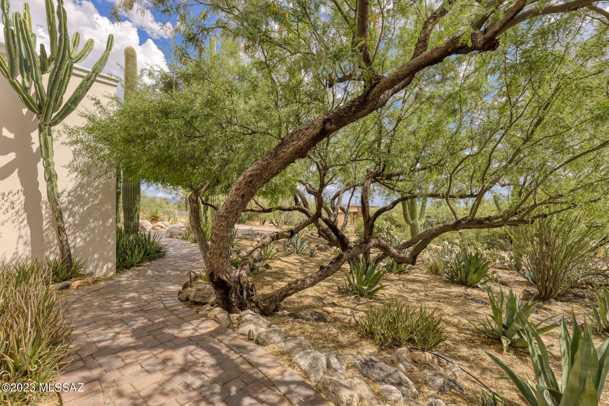 Coronado Foothills Estates - Residential