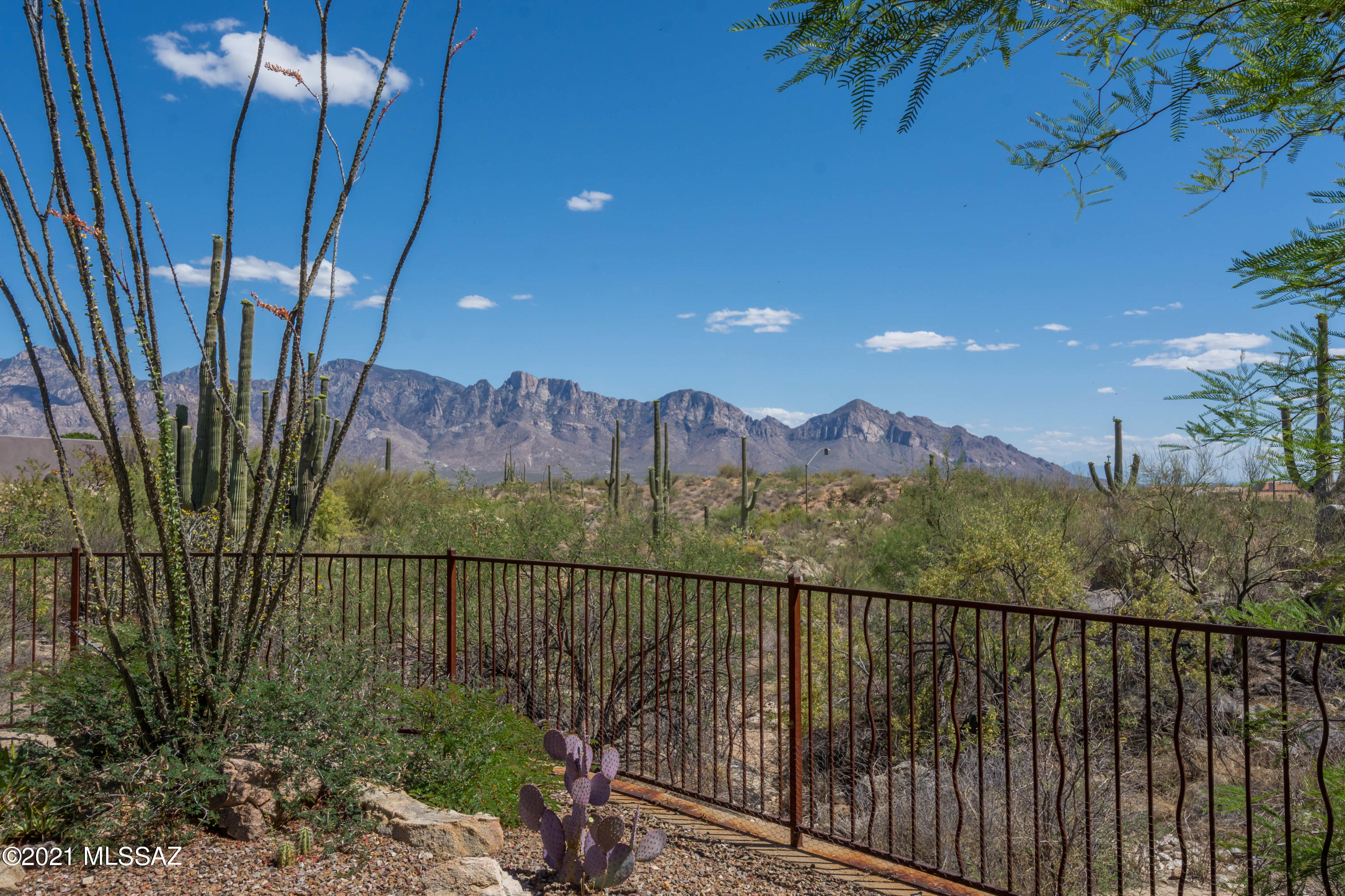 Honey Bee Canyon Estates - Residential