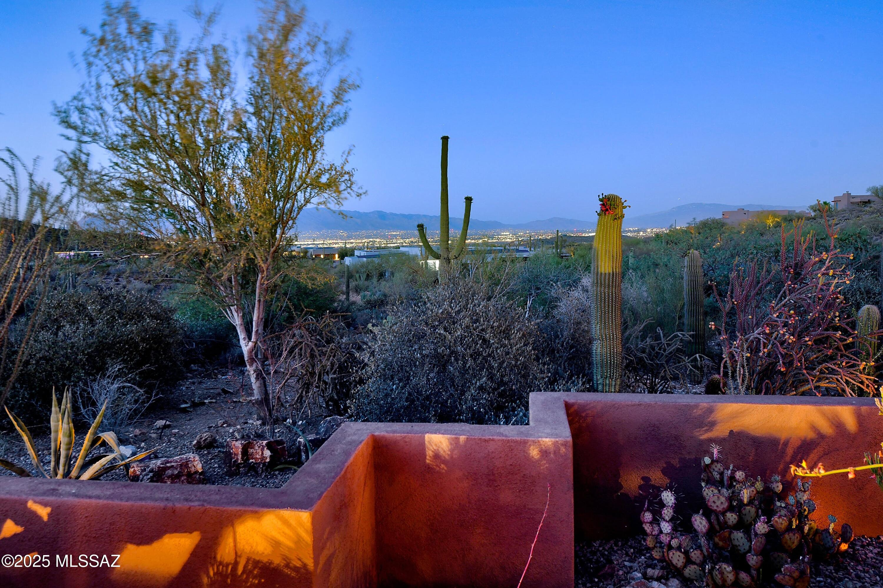 Saguaro Cliffs (1-61) - Residential