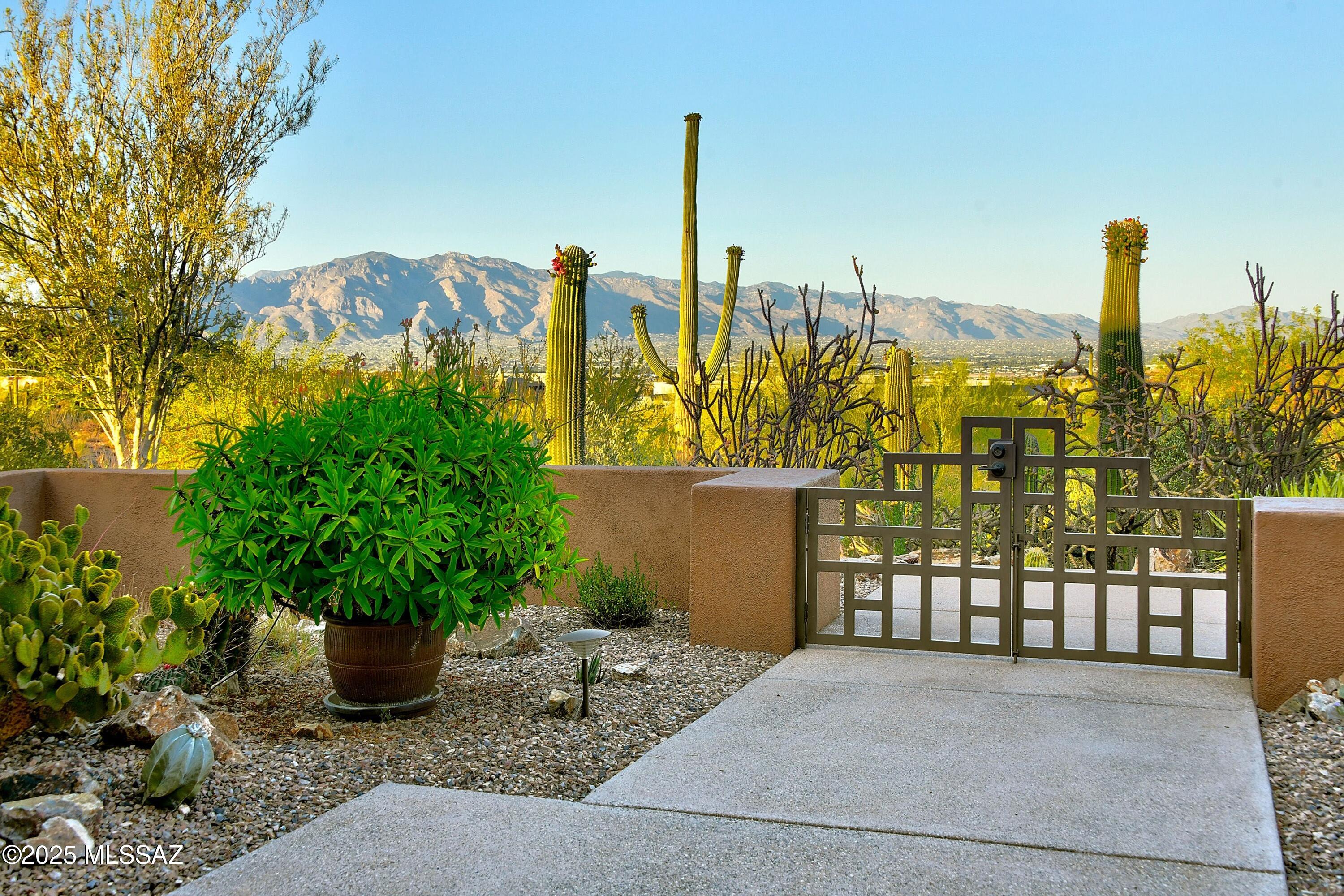Saguaro Cliffs (1-61) - Residential