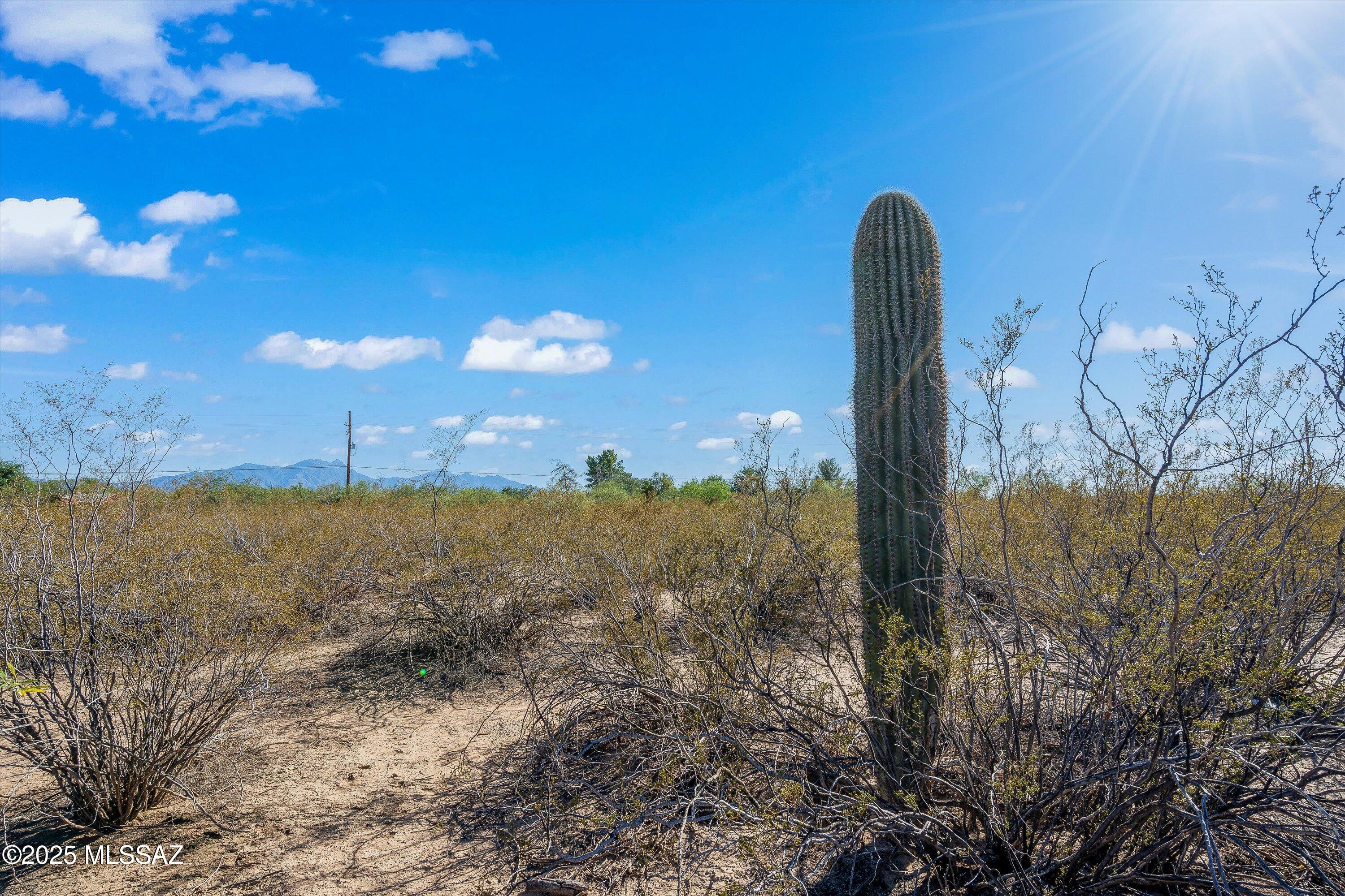 Spacious 1.06-acre vacant lot located on a paved main road—ideal for your future home or investment project! Water and electricity are already to the lot line.