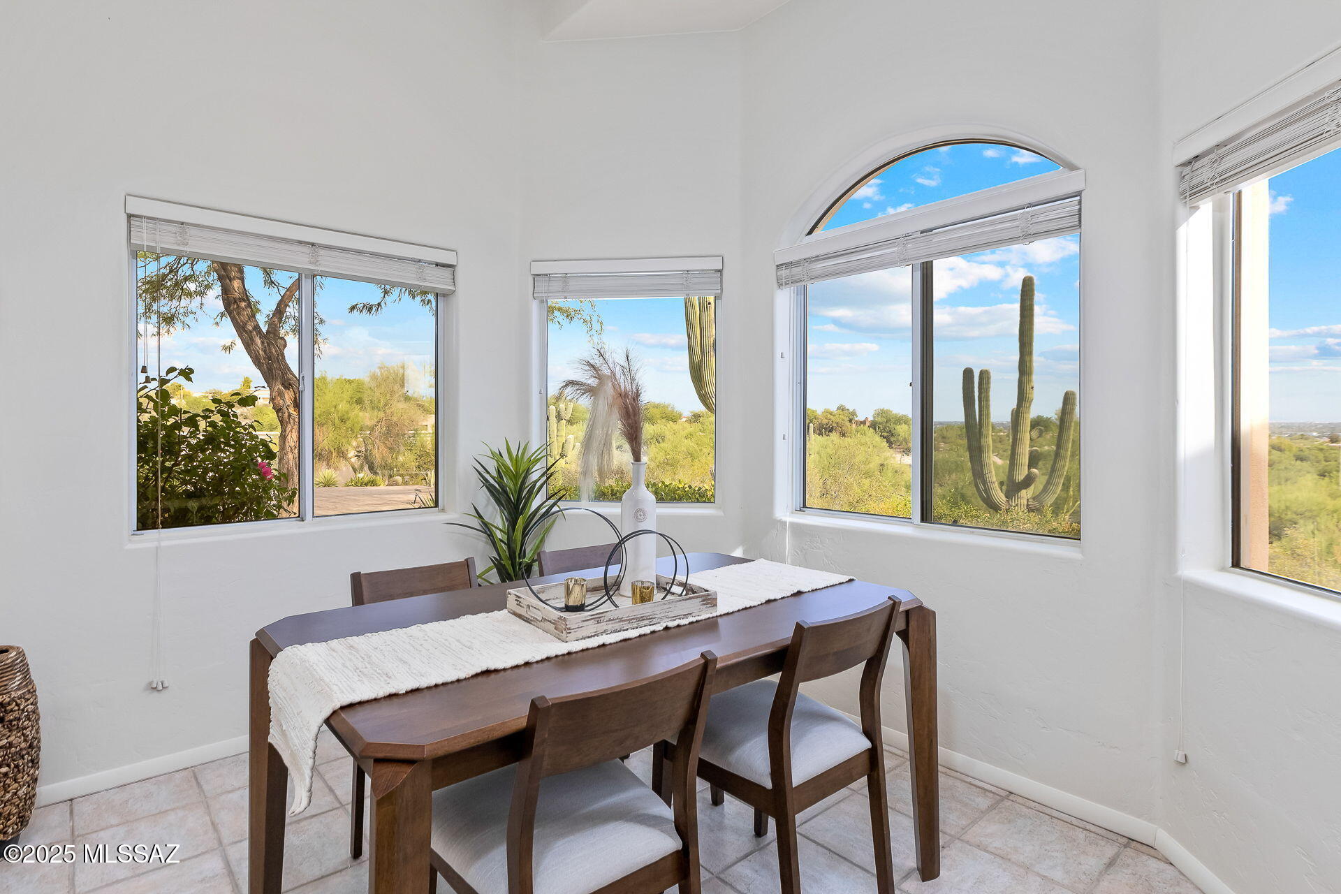 Catalina Foothills Estates NO. 10 (179-193) - Residential