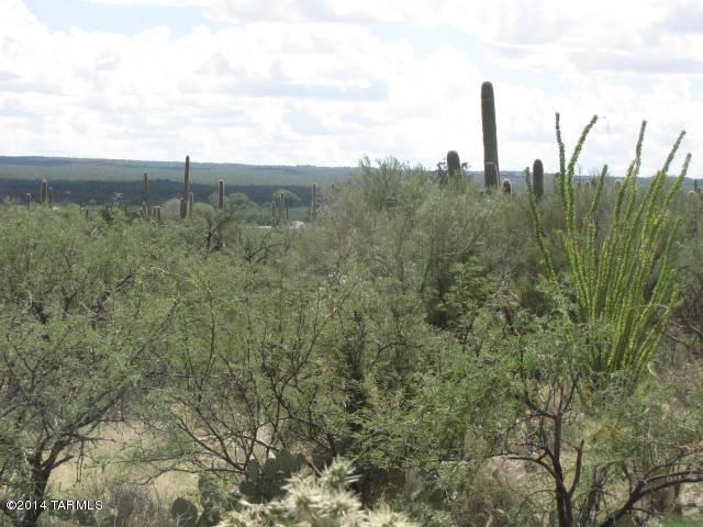 La Cebadilla Estates (1-161) - Land