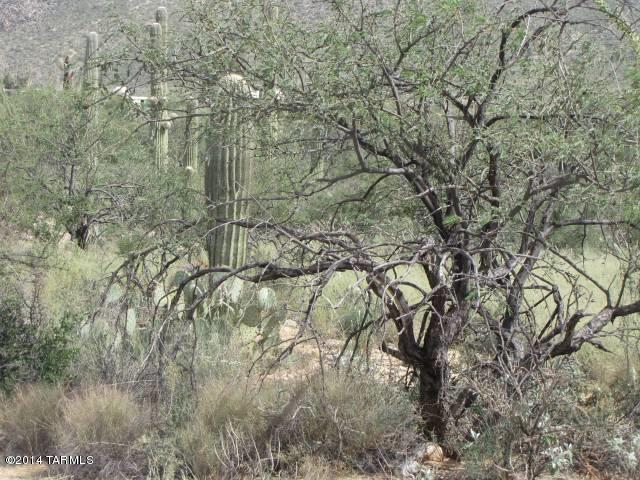 La Cebadilla Estates (1-161) - Land