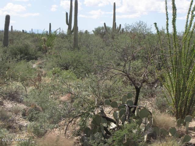 La Cebadilla Estates (1-161) - Land