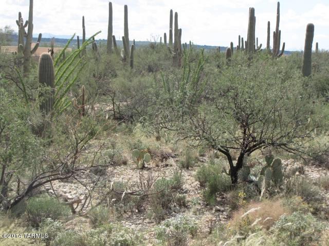 La Cebadilla Estates (1-161) - Land