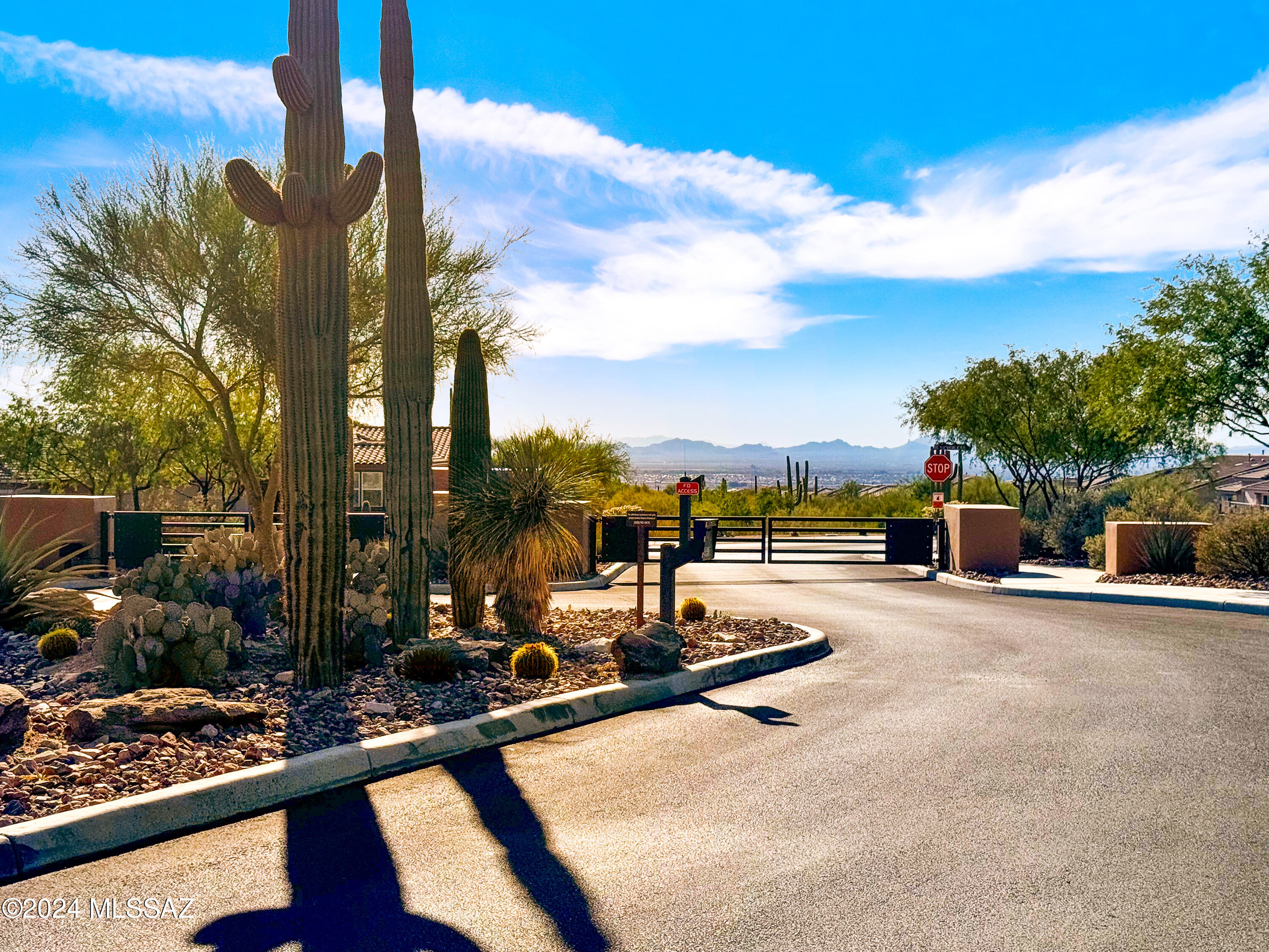 Blue Agave At Dove Mountain - Residential