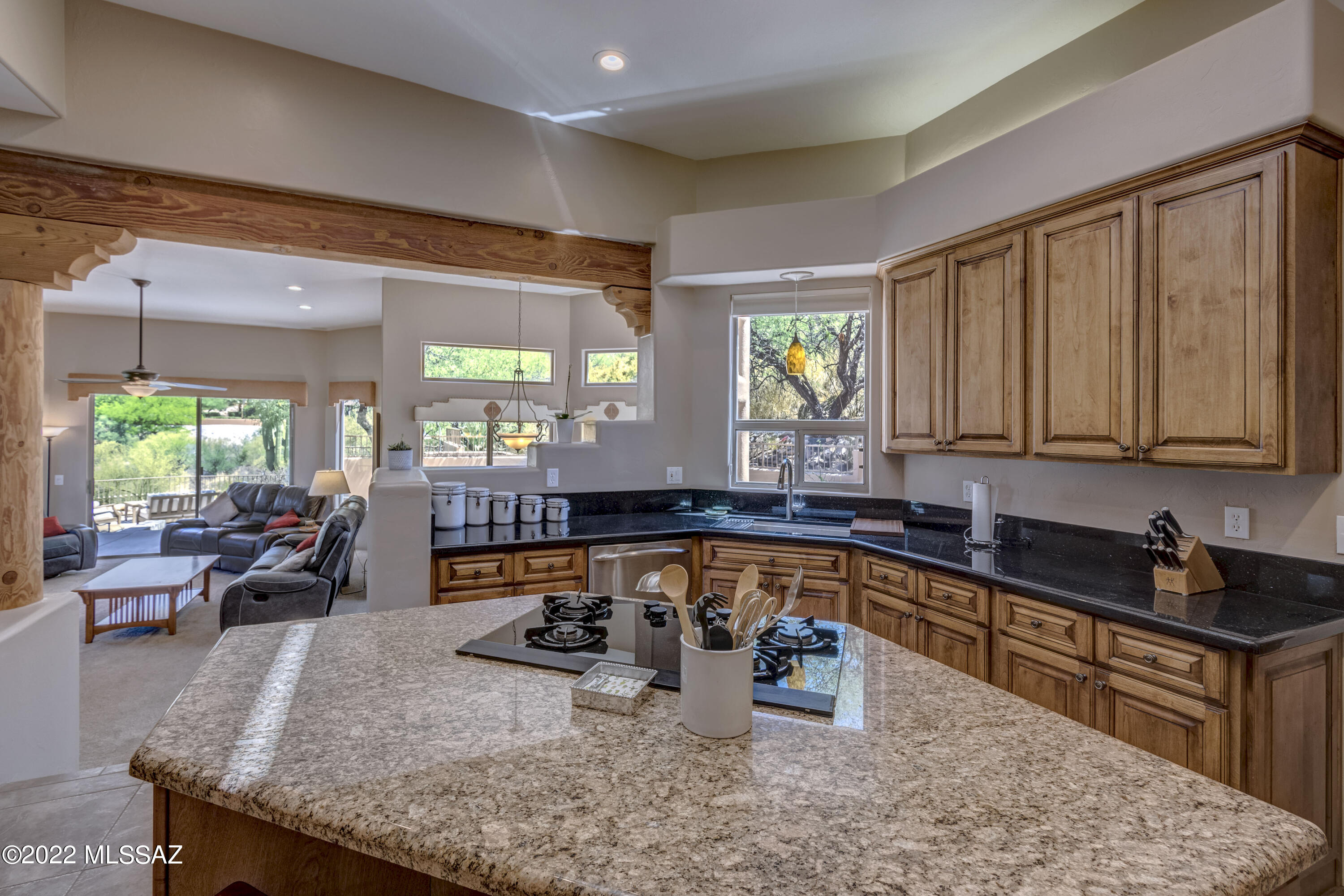 Alta Vista Estates (1-124) - Residential