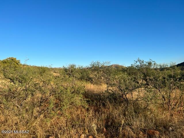 Tubac Foothills Ranch - Land