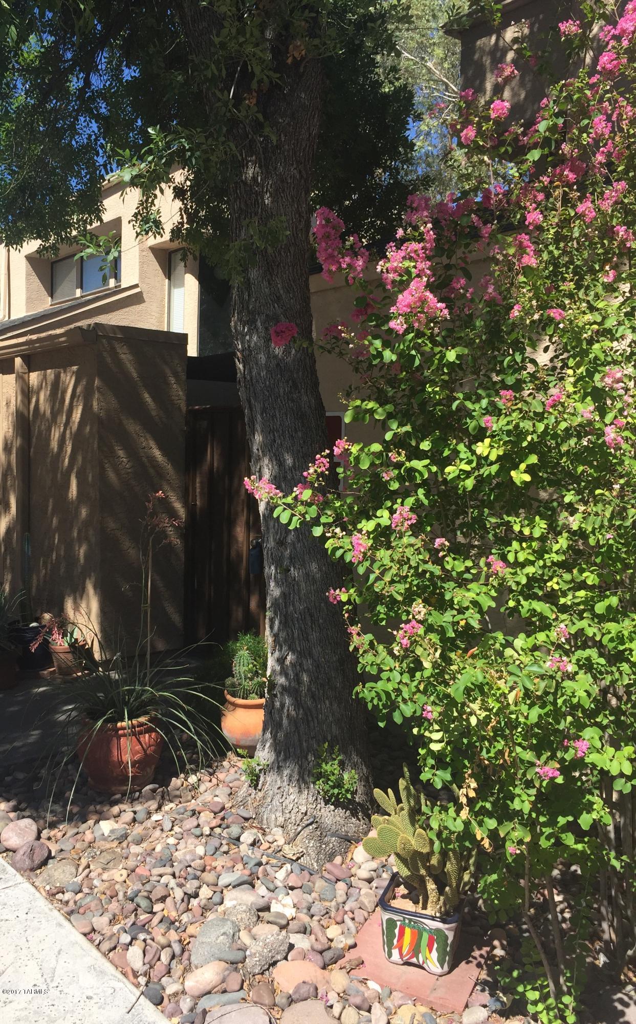Coronado Place Condominiums II (Units 37-158) - Residential