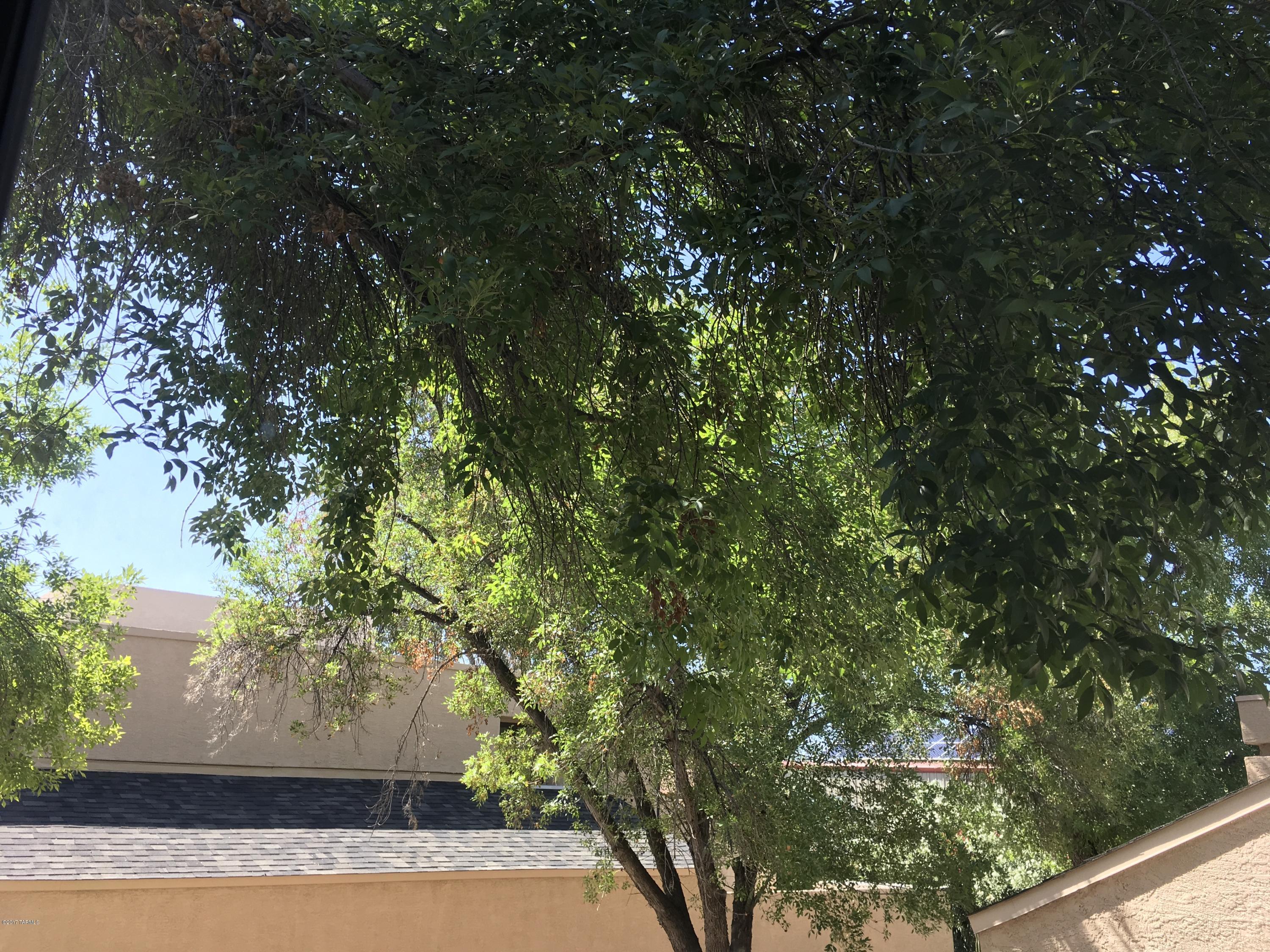 Coronado Place Condominiums II (Units 37-158) - Residential