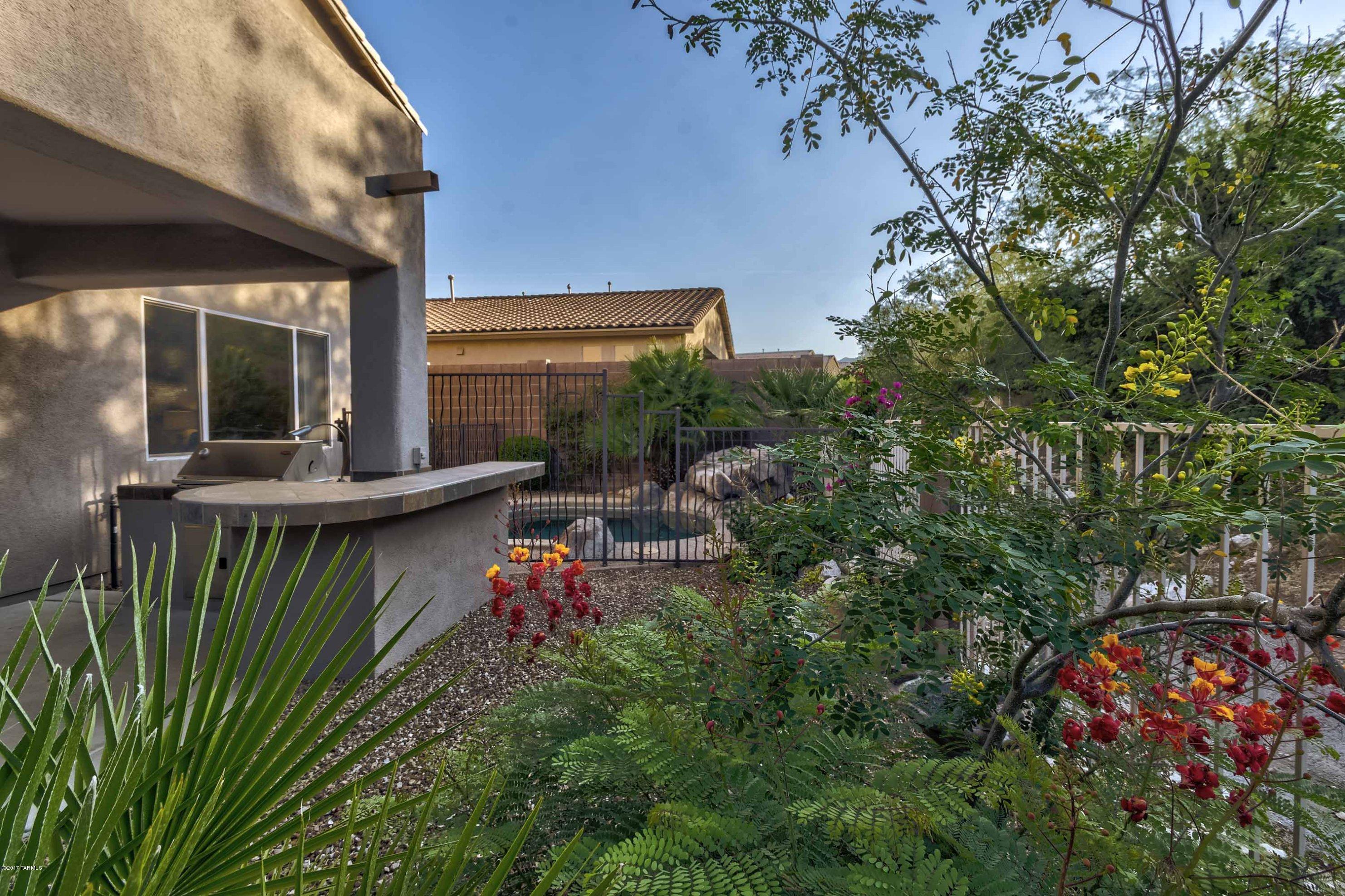 Sabino Mountain (1-290) - Residential