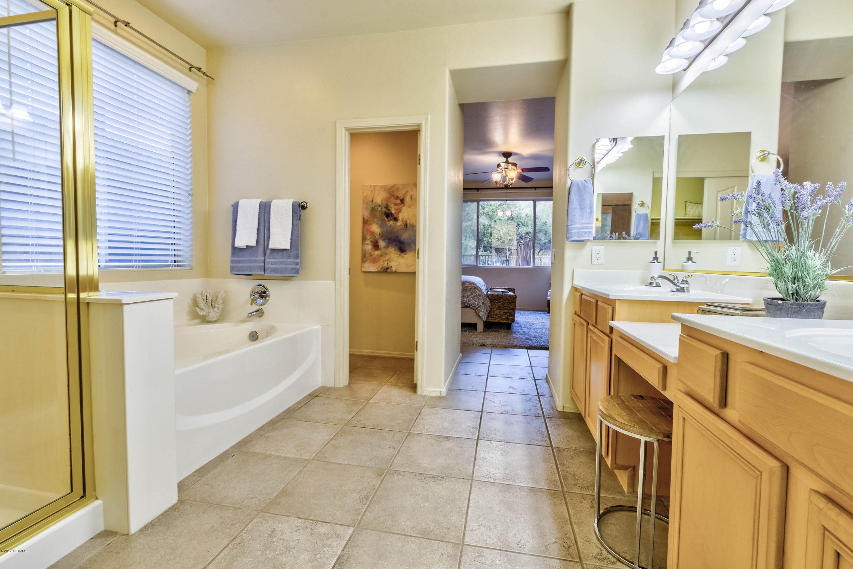 Sabino Mountain (1-290) - Residential
