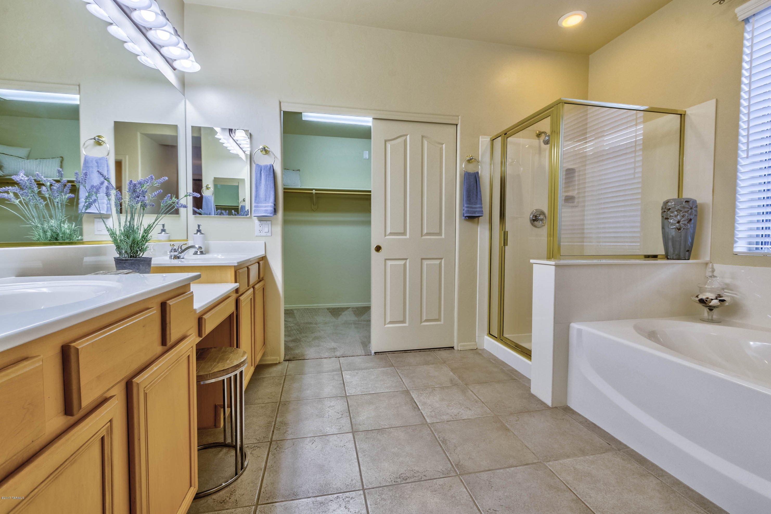 Sabino Mountain (1-290) - Residential