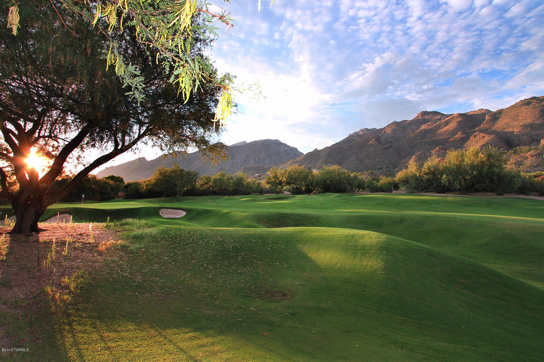 Ventana Canyon Estates (1-63) - Residential