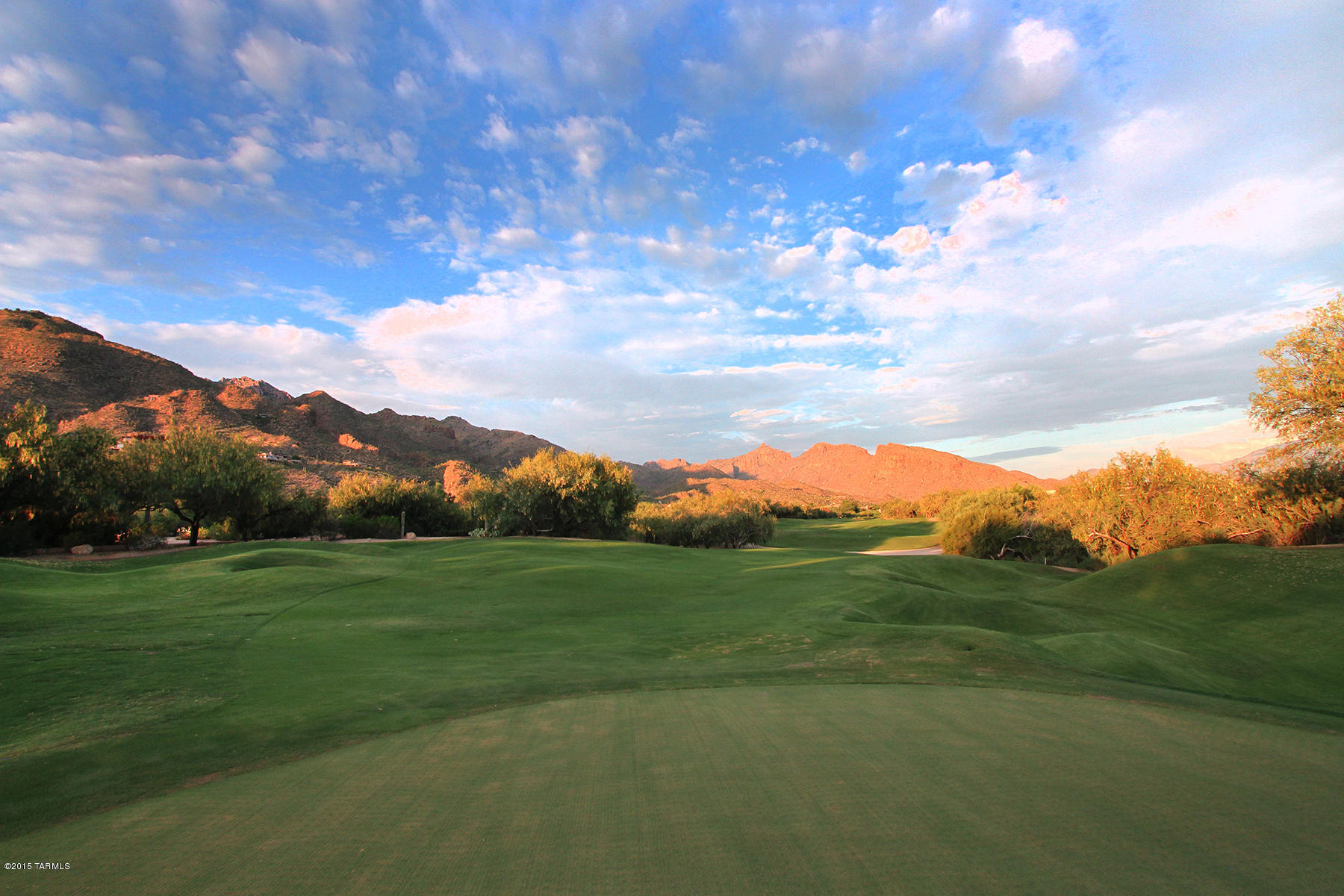 Ventana Canyon Estates (1-63) - Residential