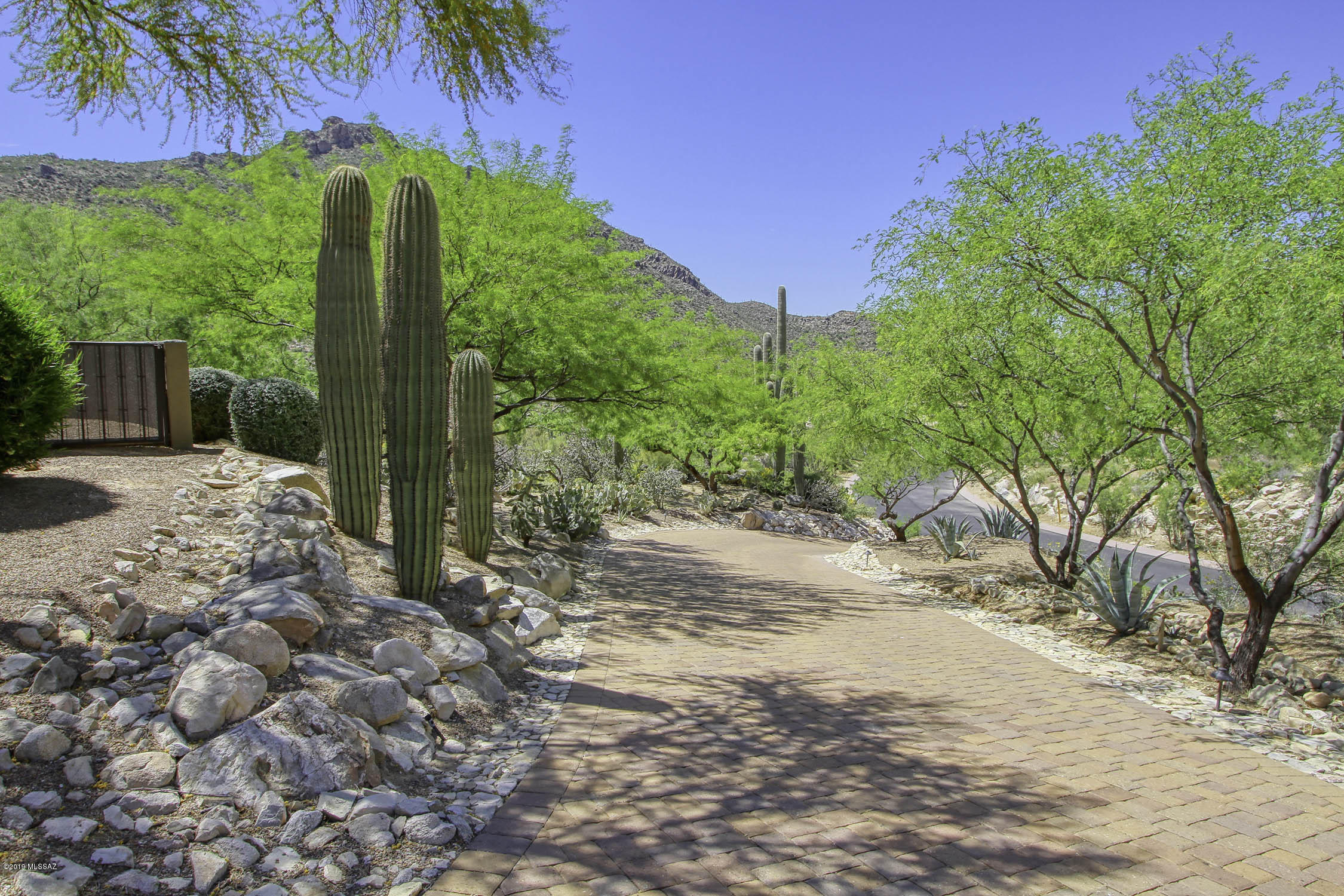 Canyon Pass III At Dove Mountain (111-181) - Residential