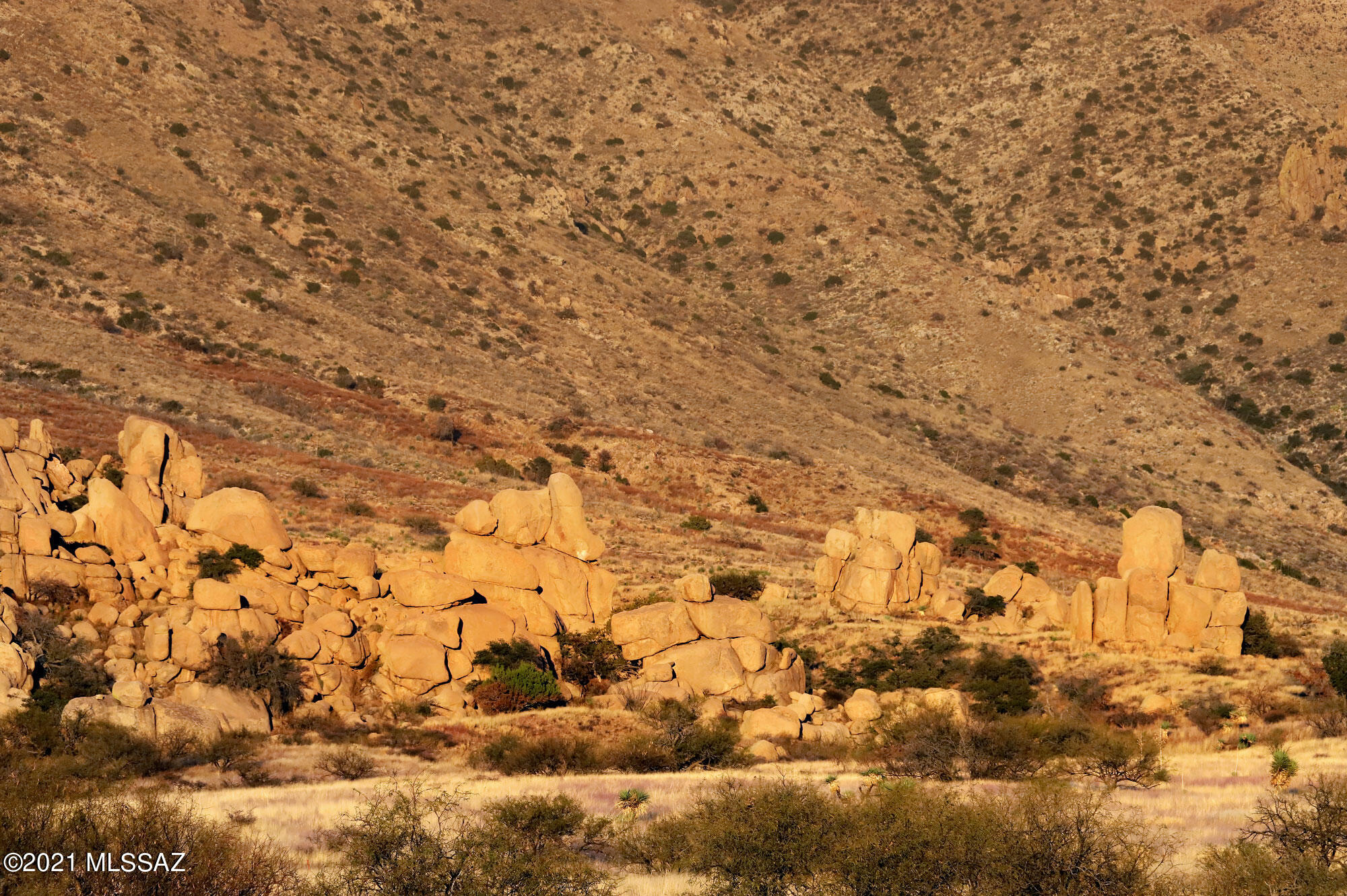 Dragoon Mountain Ranch - Residential