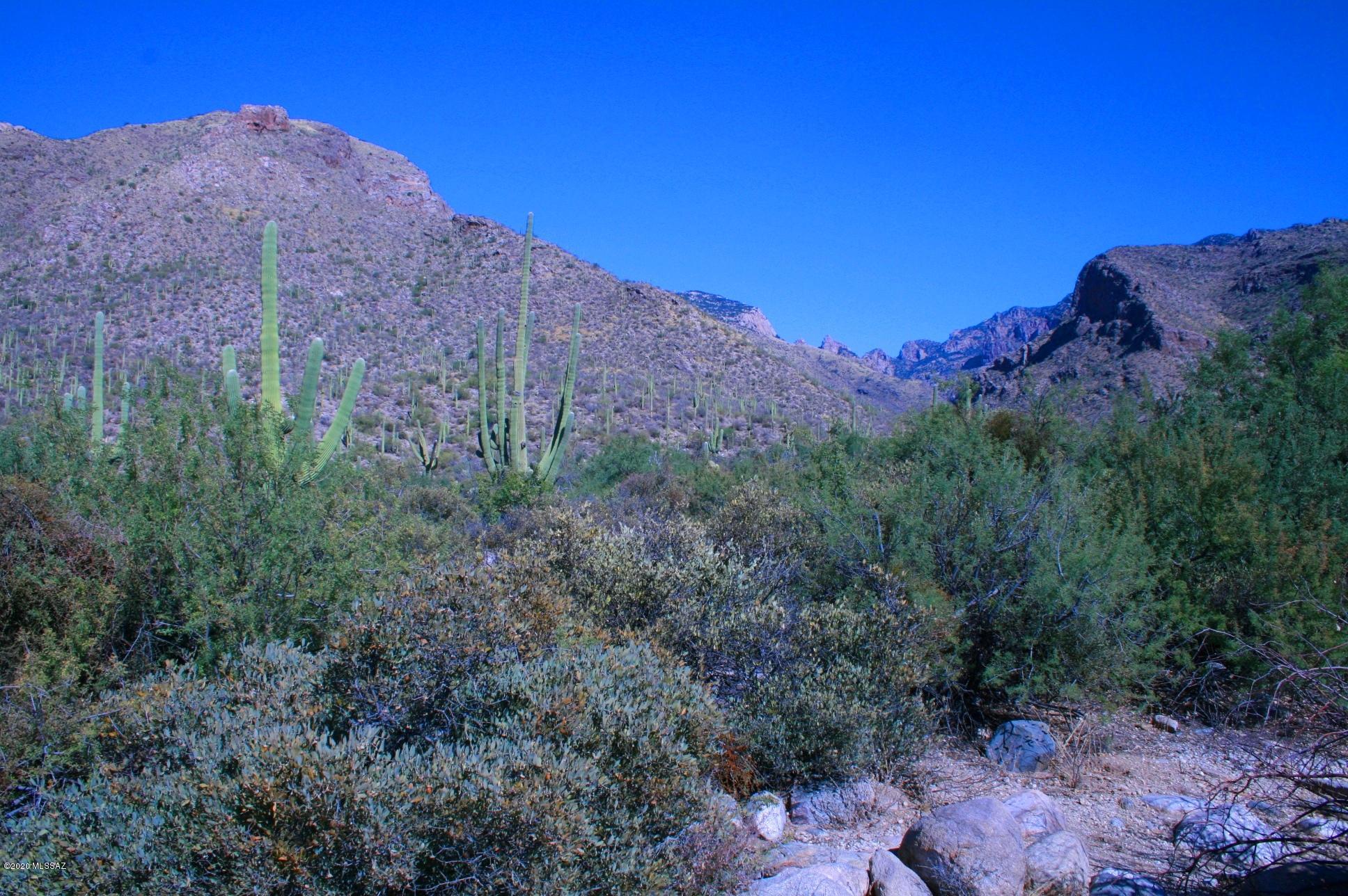 Pima Canyon Estates (30,33,96-102,115,124-127,136-139,147-151,16) - Land