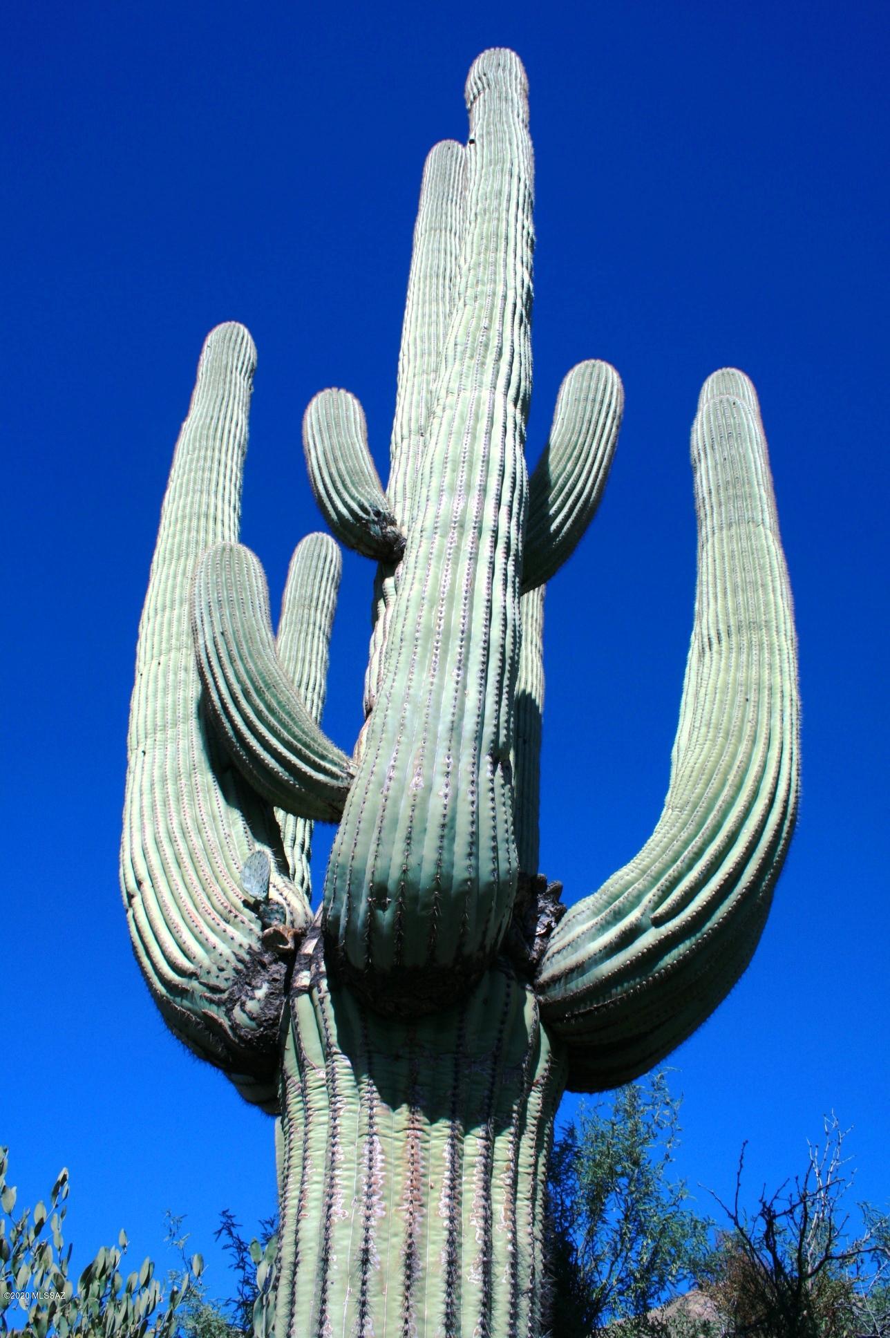 Pima Canyon Estates (30,33,96-102,115,124-127,136-139,147-151,16) - Land