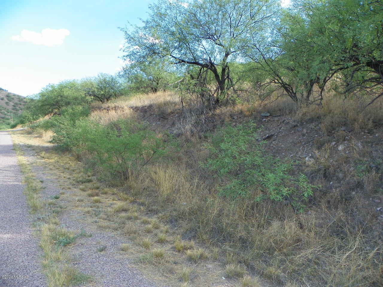 Rio Rico Ranchettes - Land