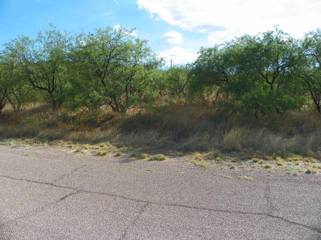 Rio Rico Ranchettes - Land