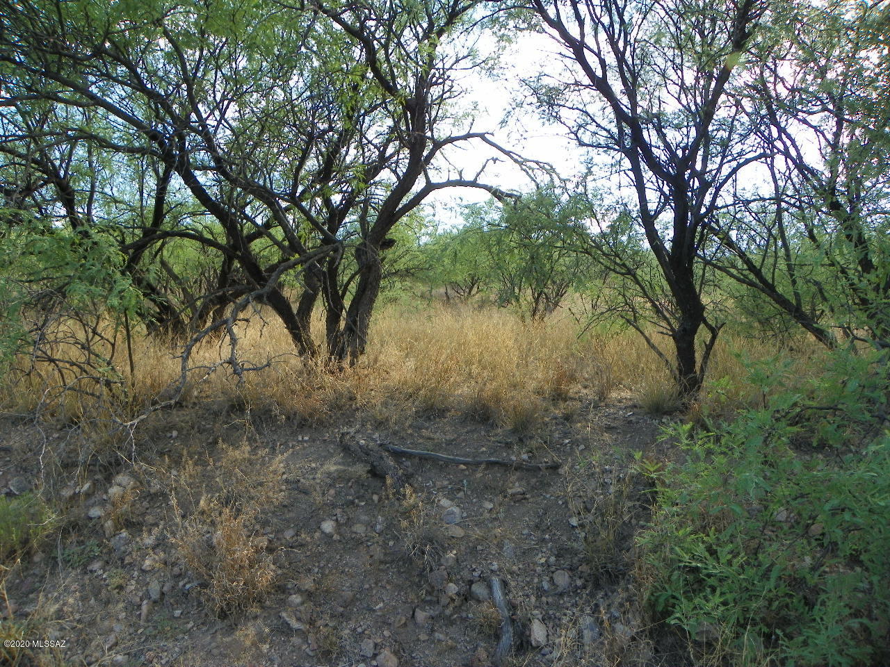 Rio Rico Ranchettes - Land