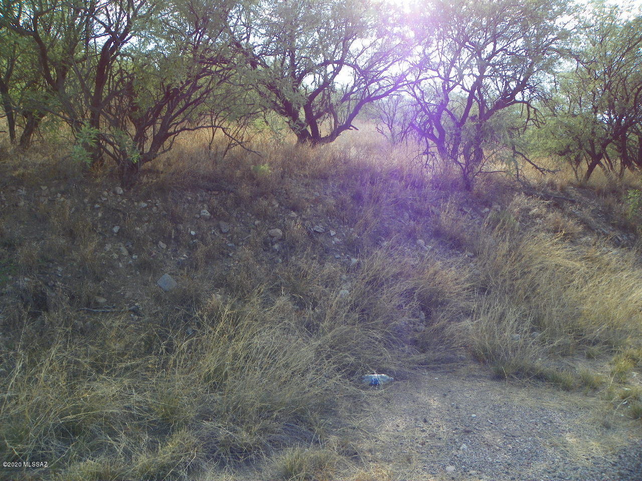 Rio Rico Ranchettes - Land