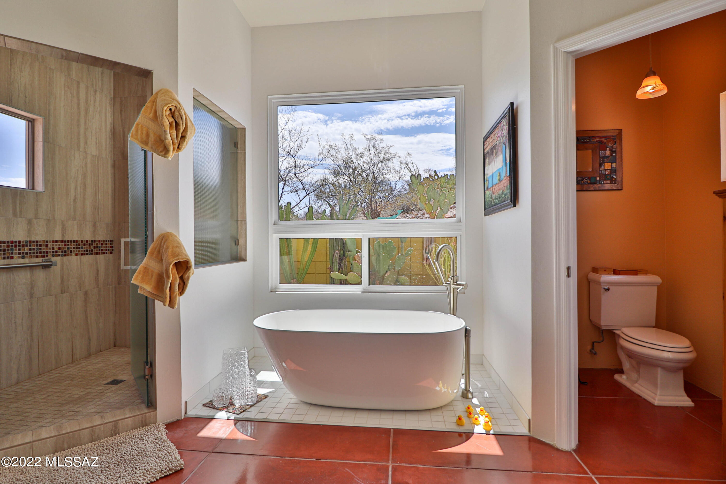 Tucson Mountain Reserve (1-124) - Residential