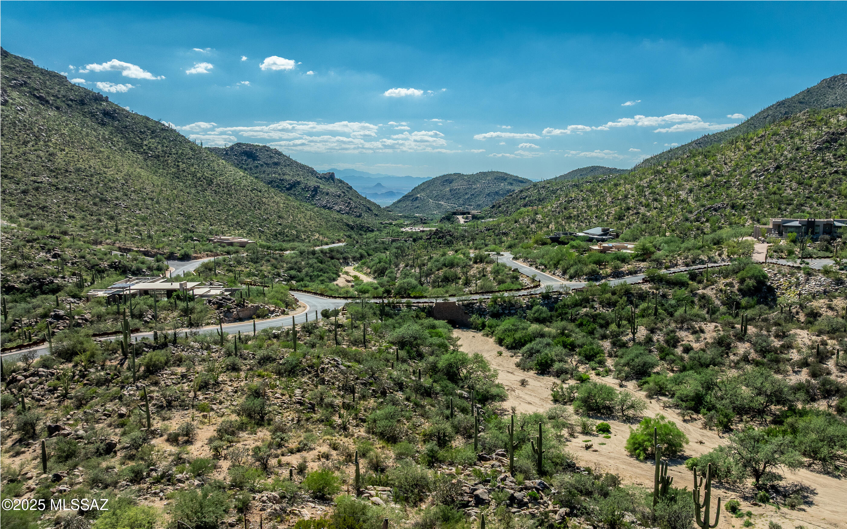 Saguaro studded custom Canyon Pass lot on 1.55 acres. Very spacious, sprawling building envelope of over 23,000sf. Lot is positioned for maximizing deep Canyon Pass views, massive towering Tortolita Mountain views and wonderfully located against a natural wash - really only one other beautiful custom home nearby. Canyon Pass's private hiking trail nearby. Serenity and peacefulness awaits your custom masterpiece home.