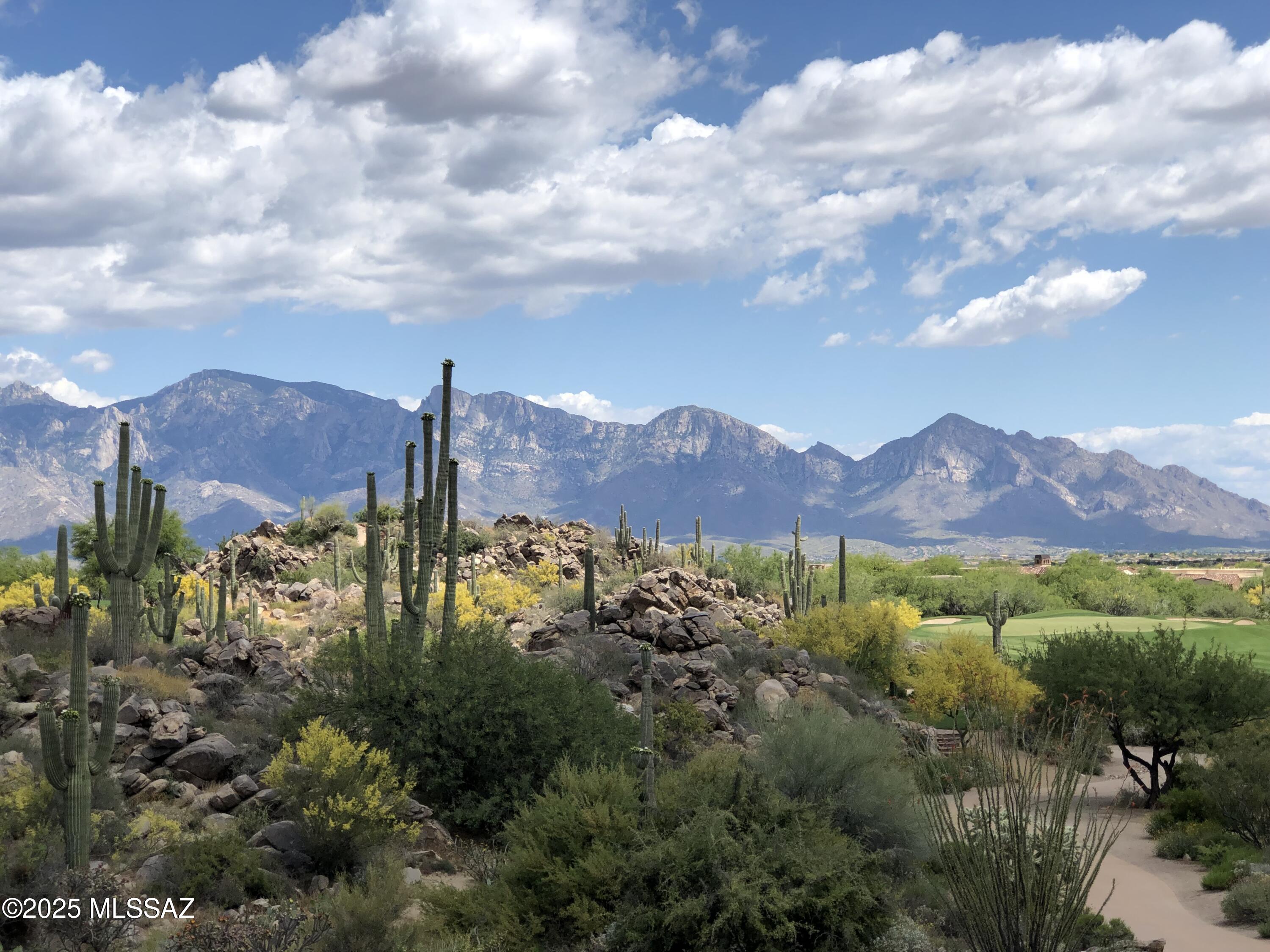 Stone Canyon II - Land