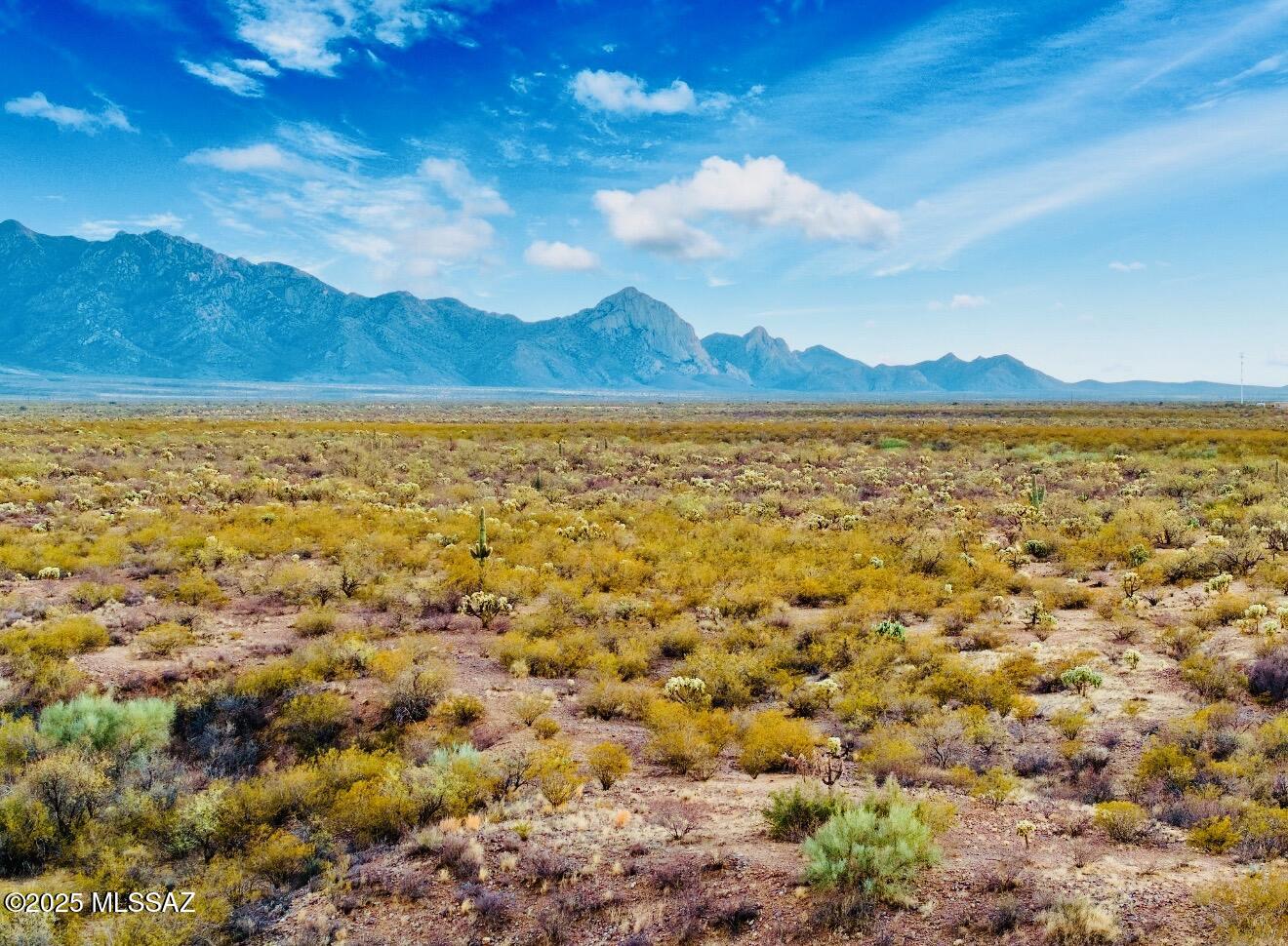 Discover the perfect canvas for your dream home in the prestigious, gated community of Madera Shadows. This 1.41-acre homesite offers an unparalleled blend of privacy, natural beauty, and convenience. Nestled against the stunning backdrop of the Santa Rita Mountains, this lot provides breathtaking panoramic views and an immersive desert experience. Imagine  golden sunrises over the mountains and enjoying peaceful evenings under a sky filled with stars.

Located just minutes from the renowned Madera Canyon, this location is a haven for outdoor enthusiasts, offering world-class hiking, birdwatching, and tranquil desert escapes. Despite its serene setting, you're just a short commute to Green Valley and Tucson, where fine dining, shopping, and entertainment await. With underground - utilities ready at the lot line, your dream home can become a reality with ease. This is more than just landit's an opportunity to build a luxurious retreat in one of Southern Arizona's most sought-after communities. Don't miss outschedule a tour today!