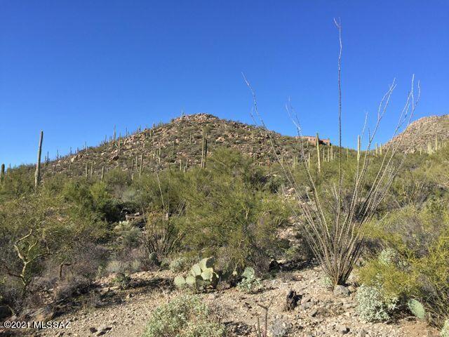 Canyon Pass At Dove Mountain(1-48) - Land