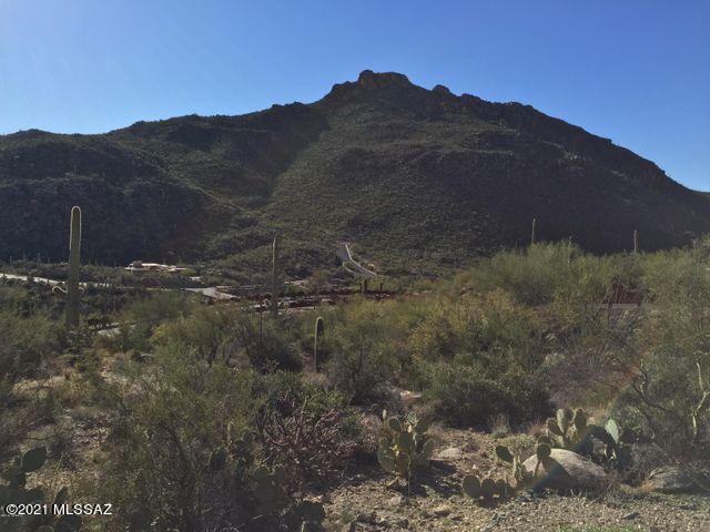 Canyon Pass At Dove Mountain(1-48) - Land