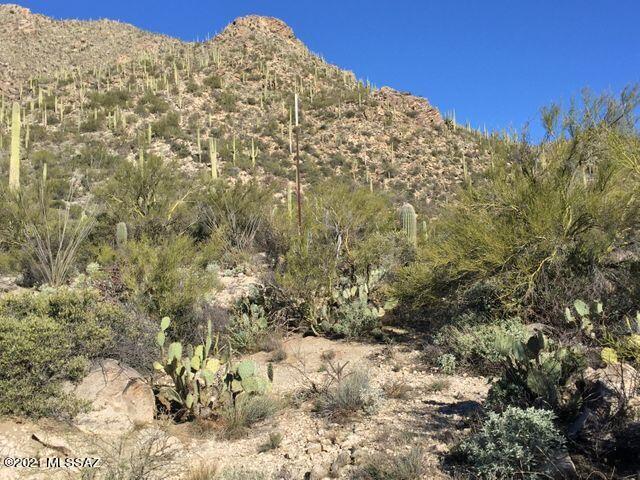 Canyon Pass At Dove Mountain(1-48) - Land