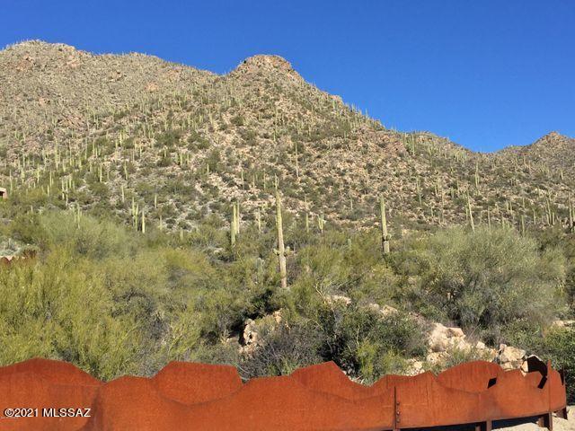 Canyon Pass At Dove Mountain(1-48) - Land