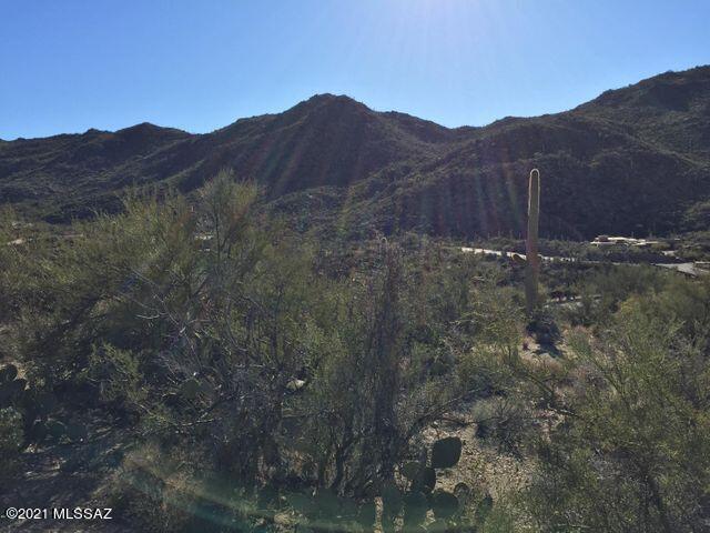 Canyon Pass At Dove Mountain(1-48) - Land